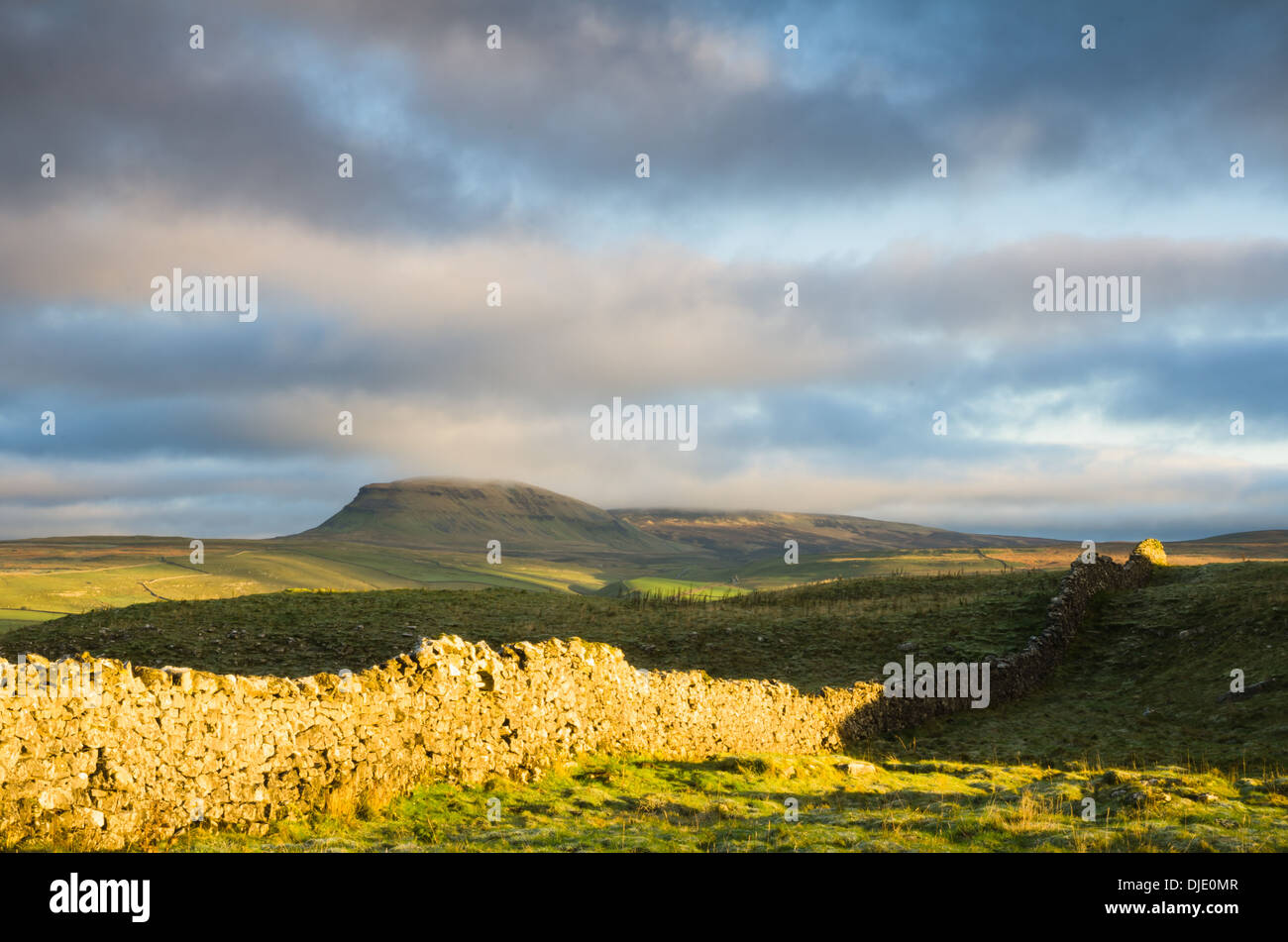 Pen-y-Gent über eine Trockensteinmauer Stockfoto