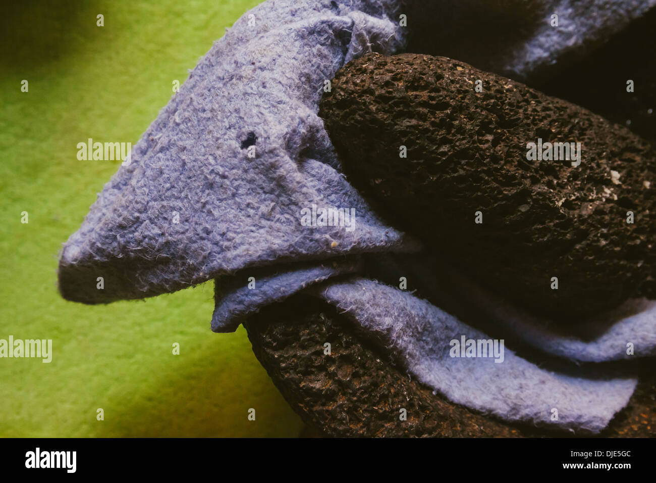 Mexikanische Küche. Stockfoto