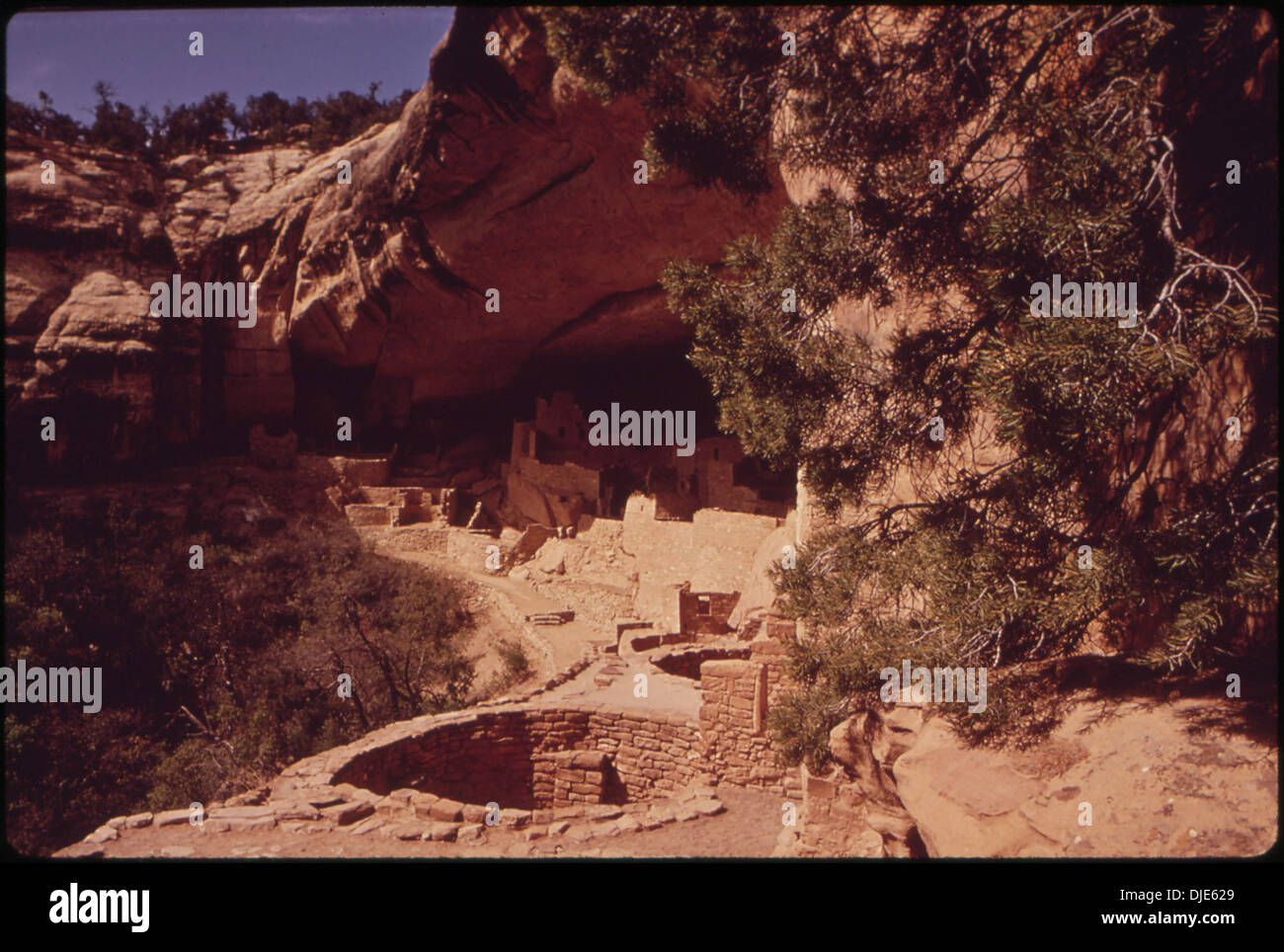 CLIFF PALACE, ERSTE GROßE RUINE ENTDECKT IM MESA VERDE 927 Stockfoto