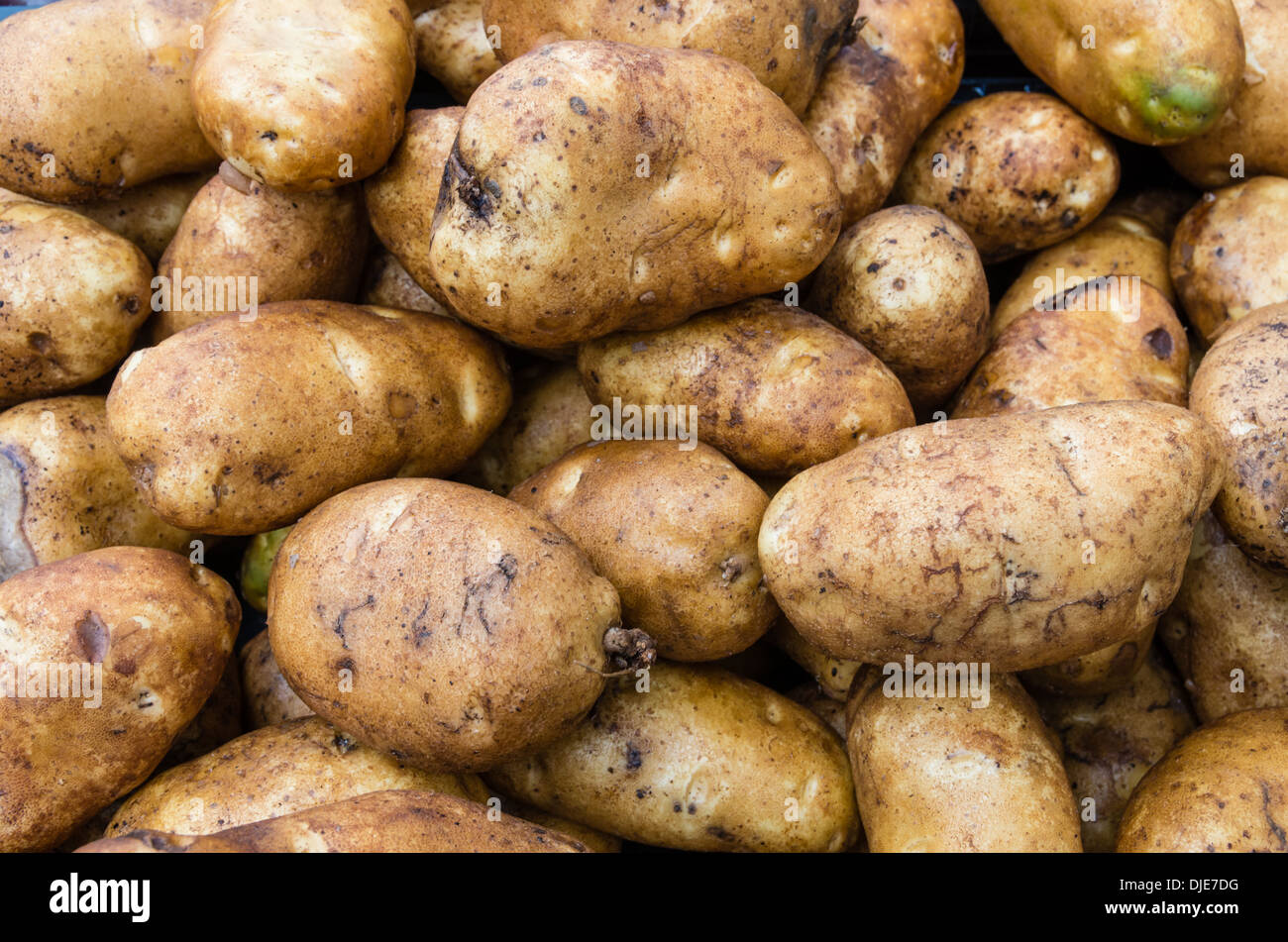 Rotbraun, Backkartoffeln auf dem Display auf dem Bauernmarkt Stockfoto