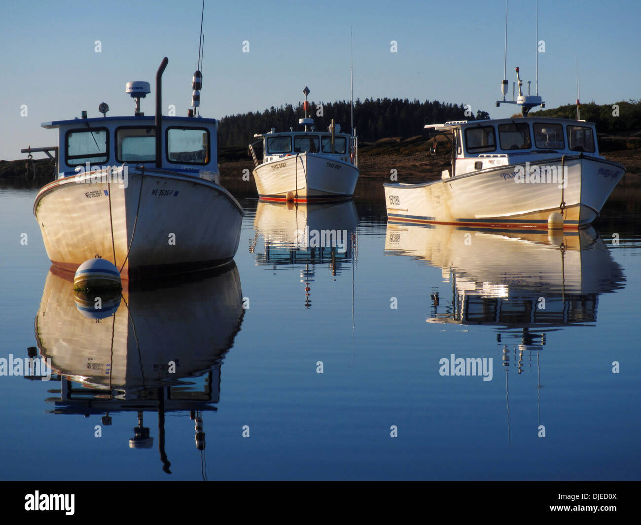 Traditionelle New England Lobster Boote vertäut auf eine cal sonnigen Sonntag in Corea Maine, USA Stockfoto