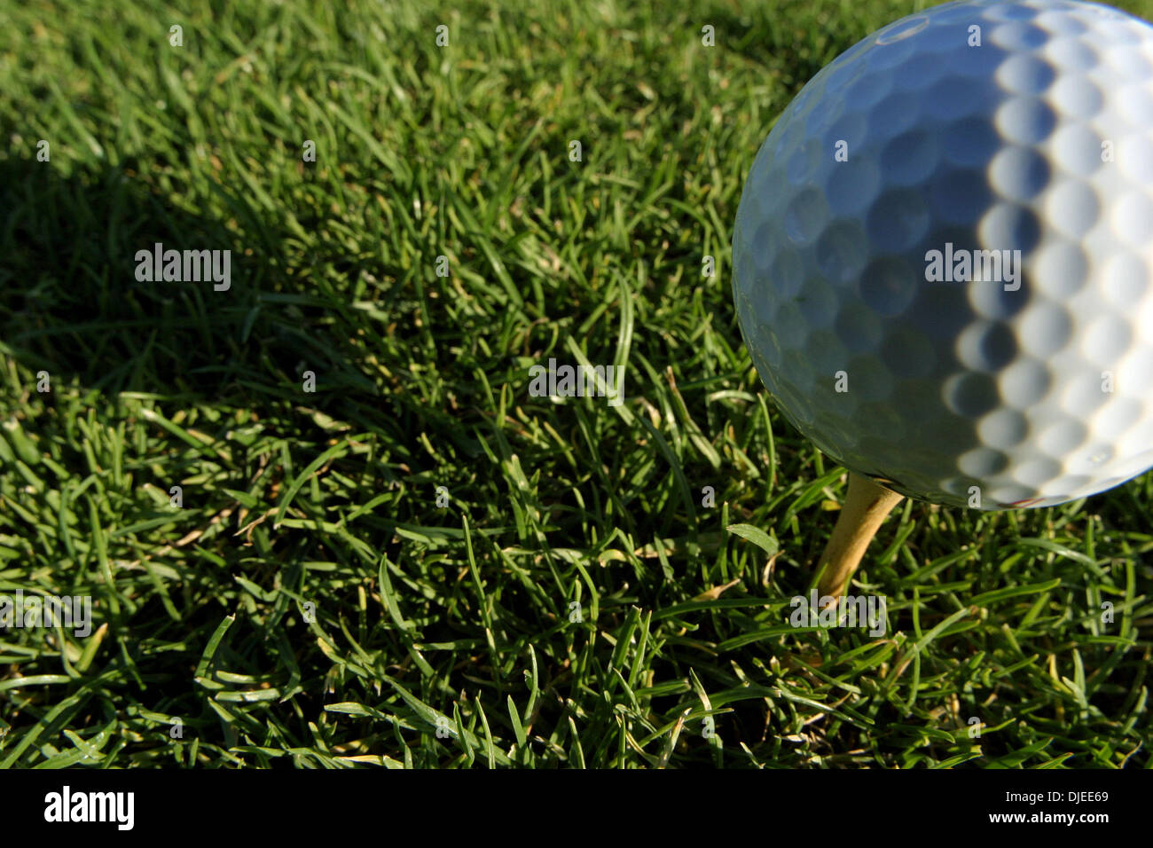 Sep 01, 2004; Los Angeles, Kalifornien, USA; Ein Golfball und Tee in einem der vielen driving Ranges in Südkalifornien. Spiel Golf, Golfschläger, Putter, Golfball, Flagge, Putting-Green. Stockfoto