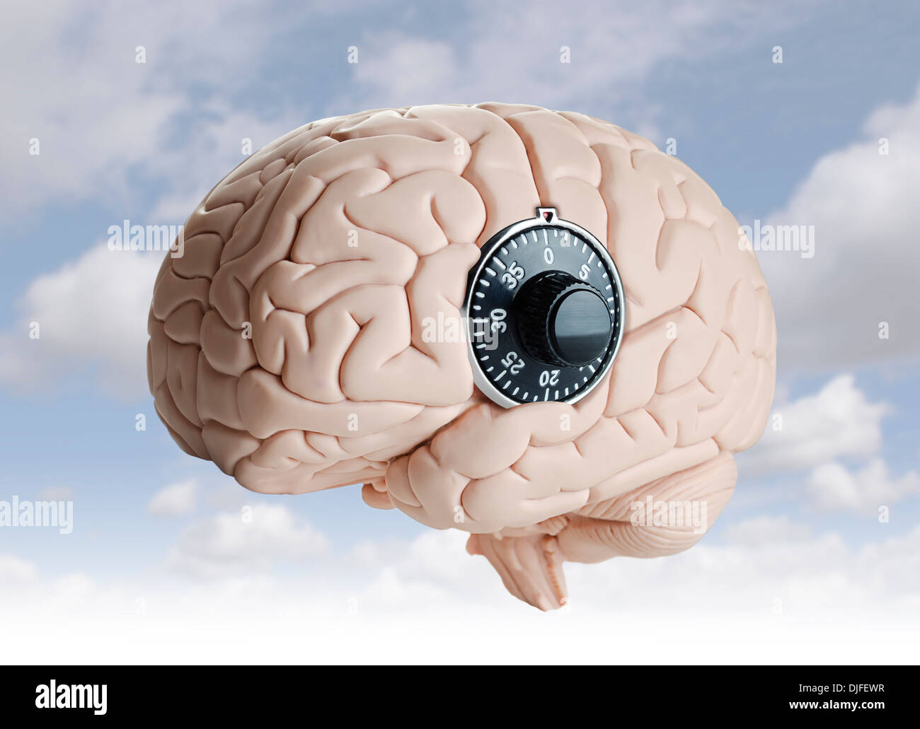 Menschliche Gehirn Modell mit einem Zifferblatt-Schloss Stockfoto