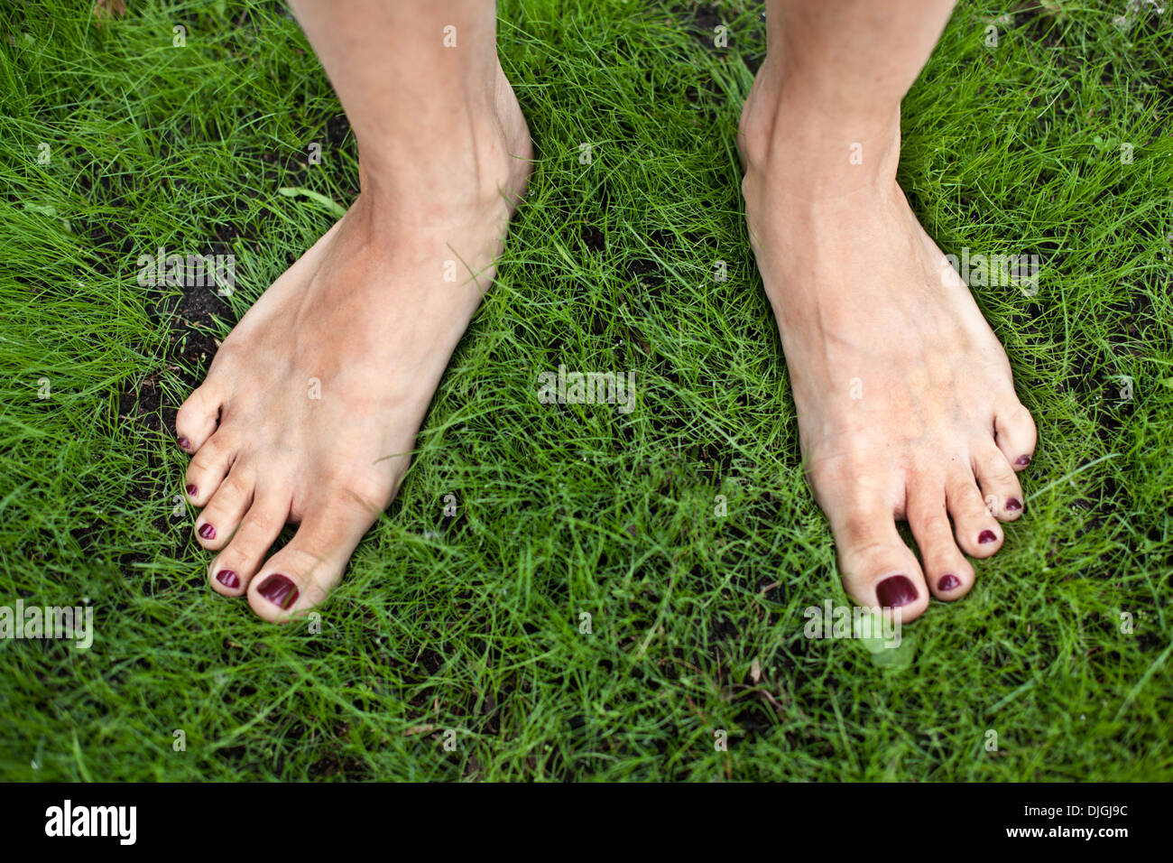 Frau Füße auf dem grünen Rasen. Stockfoto