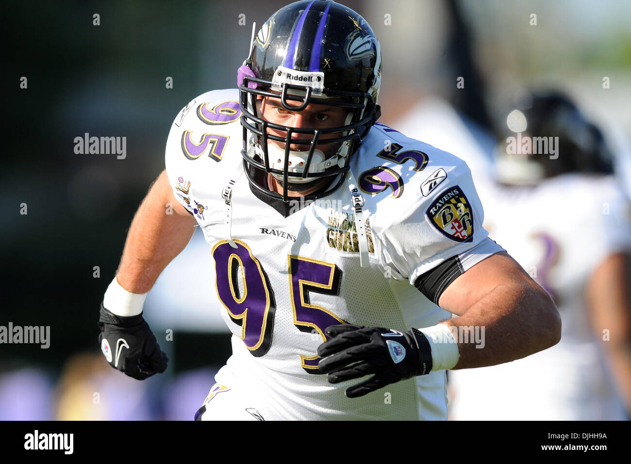 30. Juli 2010: Baltimore Ravens Linebacker Jarret Johnson (95) in Aktion während Ravens Trainingslager am McDaniel College in Westminster, MD... Obligatorische Credit: Russell Tracy / Southcreek Global. (Kredit-Bild: © Russell Tracy/Southcreek Global/ZUMApress.com) Stockfoto