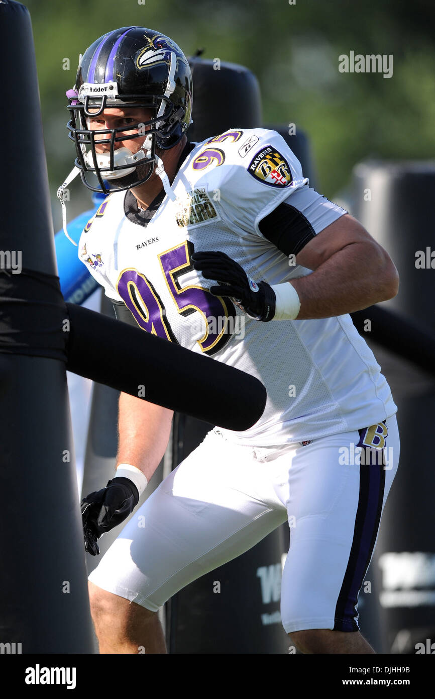 30. Juli 2010: Baltimore Ravens Linebacker Jarret Johnson (95) in Aktion während Ravens Trainingslager am McDaniel College in Westminster, MD... Obligatorische Credit: Russell Tracy / Southcreek Global. (Kredit-Bild: © Russell Tracy/Southcreek Global/ZUMApress.com) Stockfoto
