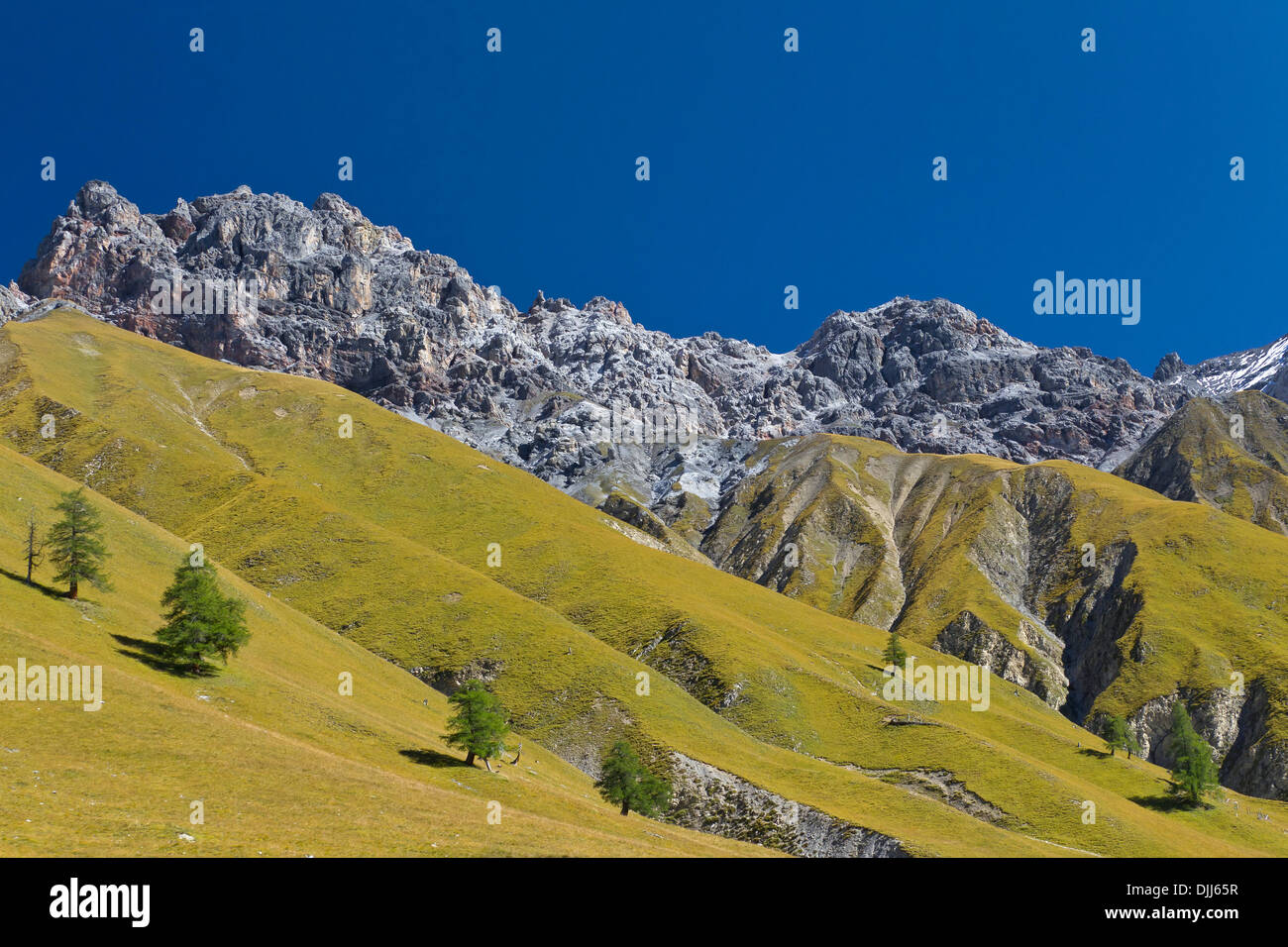 Blick auf den Berg Piz Fier in Val Trupchun, Schweizer Nationalpark in Graubünden / Graubünden in den Alpen, Schweiz Stockfoto