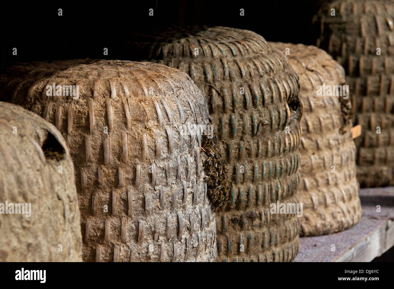 Bienenstöcke / Bienenstöcke / Skeps für Honigbienen in rustikalen unterstand der Imkerei, Lüneburg Heath / Lunenburg Heath, Niedersachsen, Deutschland Stockfoto