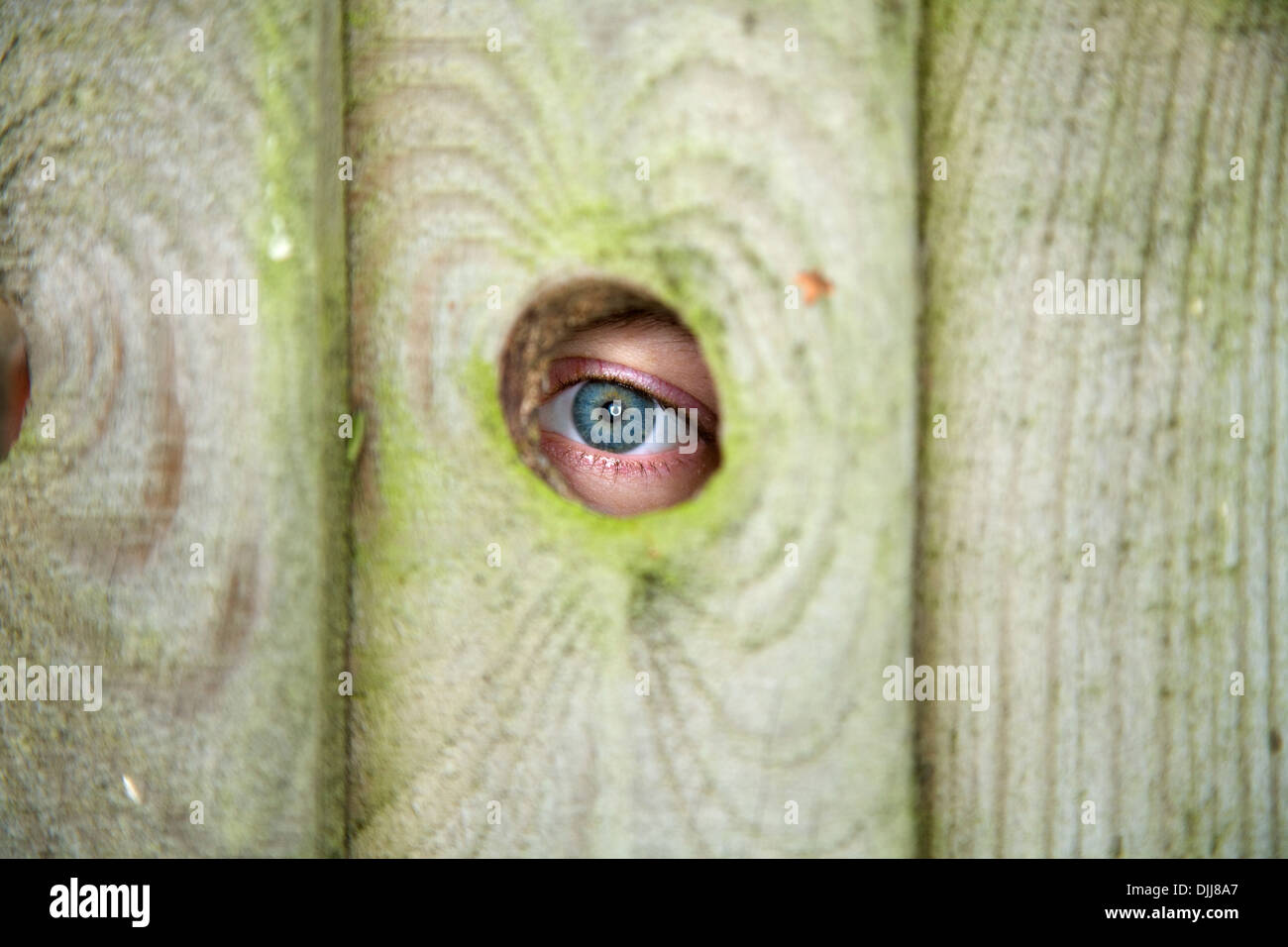 Auge / Augen eines neugierigen Nachbarn / Nachbar guckt / Spionage durch den Türspion / Löcher in ein Gartenzaun. Stockfoto