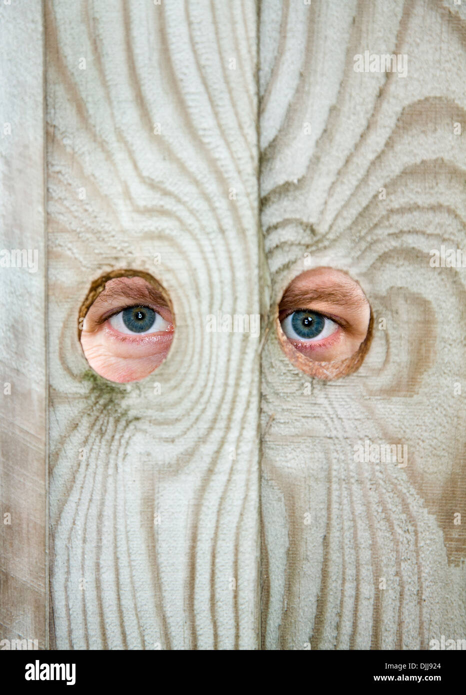 Auge / Augen eines neugierigen Nachbarn / Nachbar guckt / Spionage durch den Türspion / Löcher in ein Gartenzaun. Stockfoto