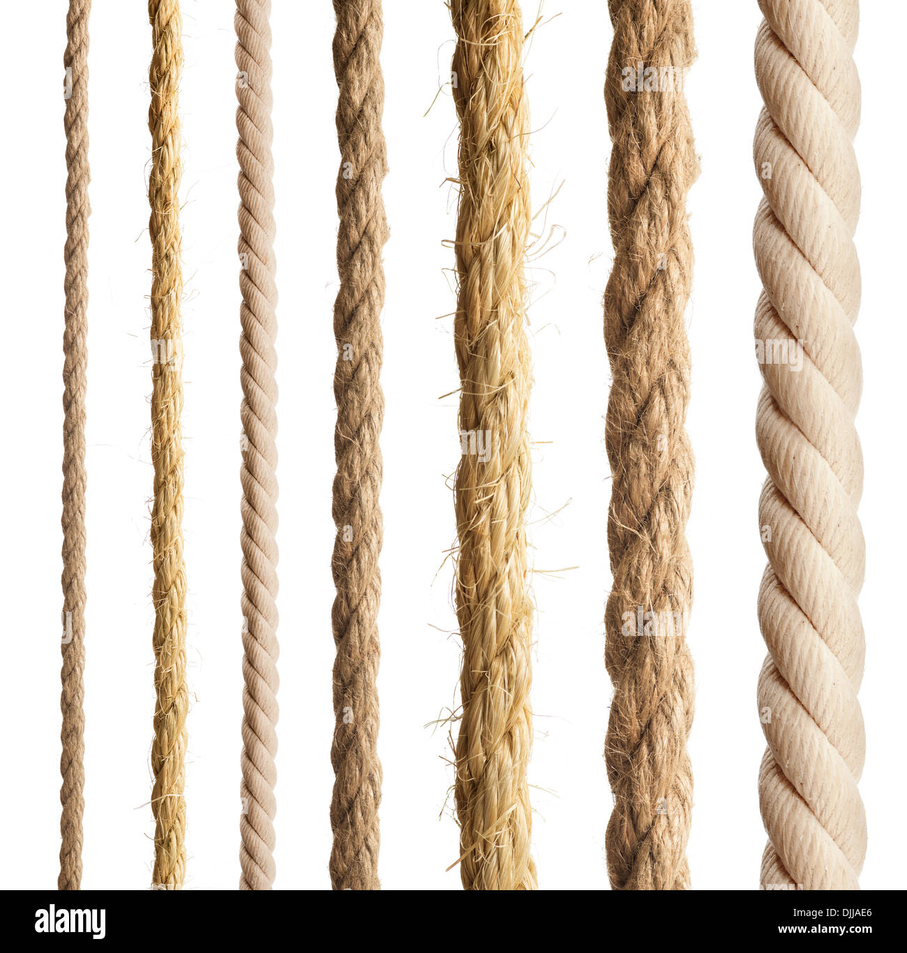 Seil isoliert. Sammlung von verschiedenen Seilen auf weißem Hintergrund. Stockfoto