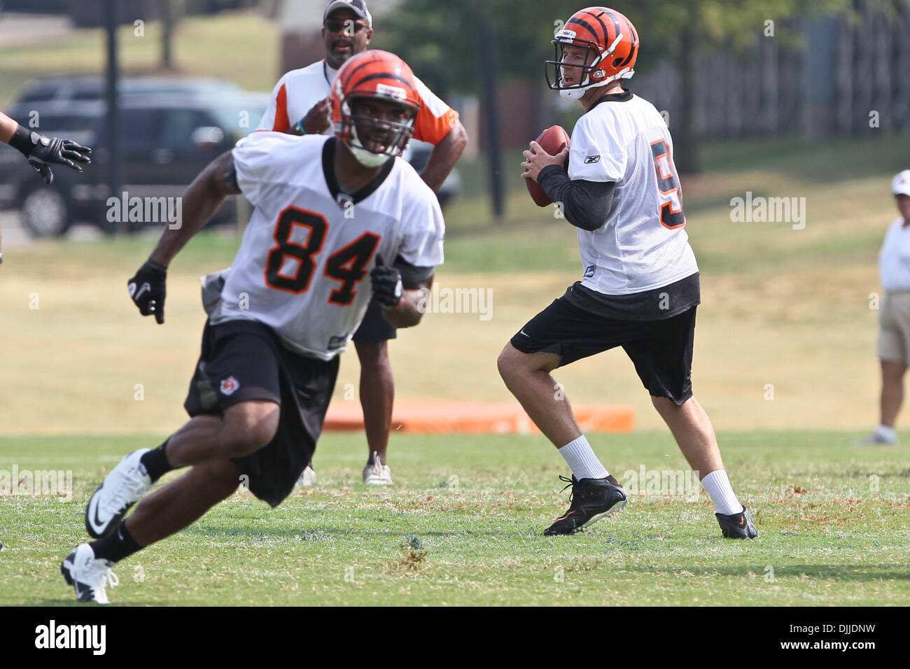 10. August 2010 - Georgetown, Kentucky, Vereinigte Staaten von Amerika - 8 August 2010:Cincinnati Bengals QB Carson Palmer (#9) während der zweiten Sitzung des Bengals Trainingslagers in Georgetown, Kentucky. Obligatorische Credit: Jon Longo / Southcreek Global (Kredit-Bild: © Southcreek Global/ZUMApress.com) Stockfoto