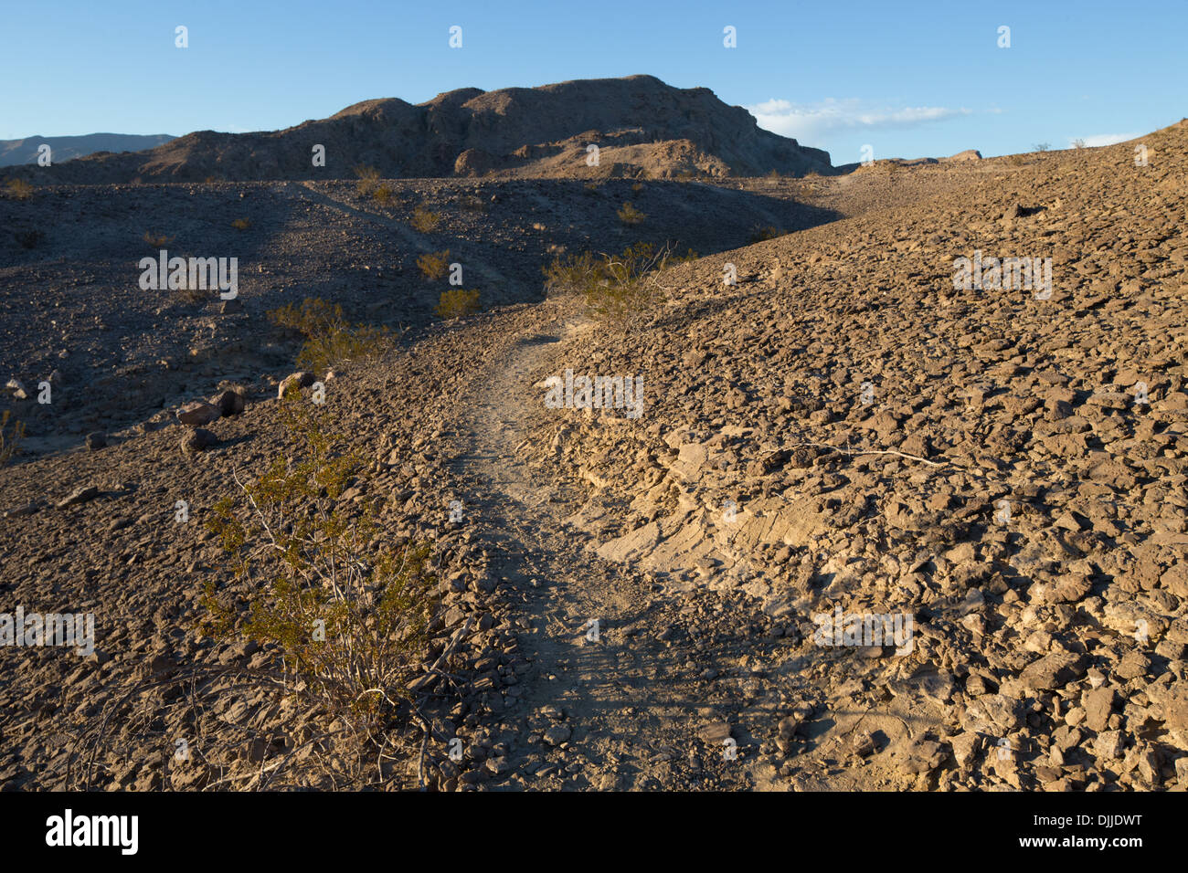 Foto MARK JOHNSON/IRONSTRING. Ein Wanderweg an der Wind Höhlen-Region des südlichen Kalifornien Anza Borrego Desert State Park. Stockfoto