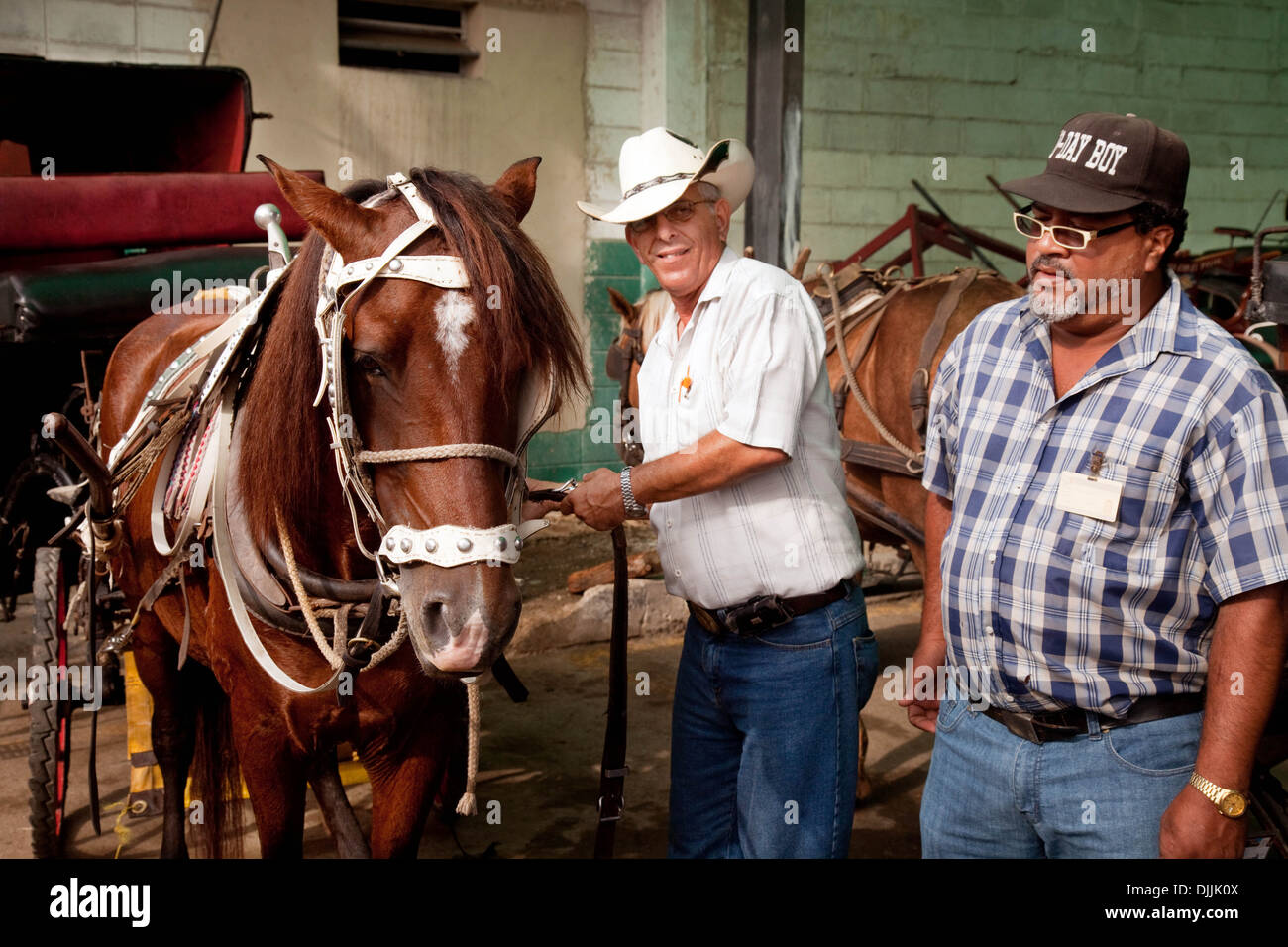 Zwei Fahrer, die Vorbereitung von ihrem Pferd und Wagen für die Tage arbeiten, Havanna, Caribbean Stockfoto