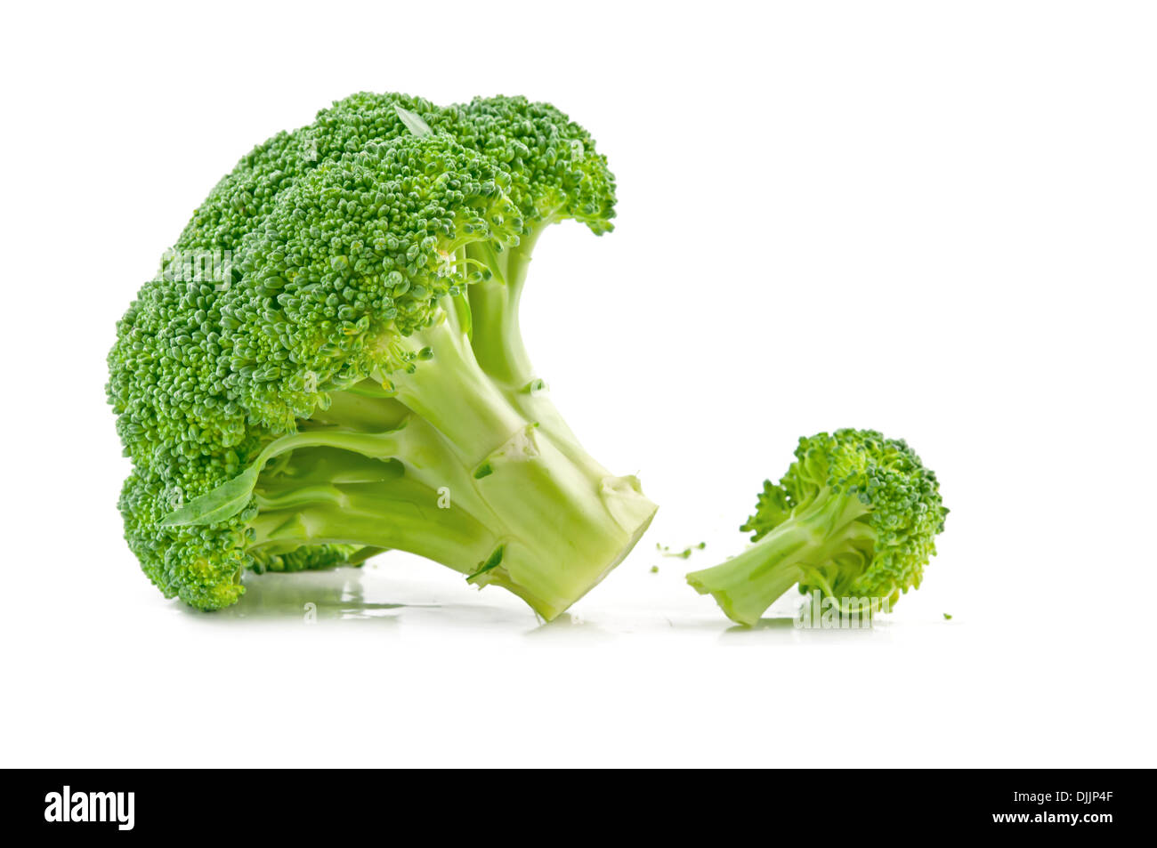 frischen rohen Brokkoli isoliert auf weißem Hintergrund Stockfoto