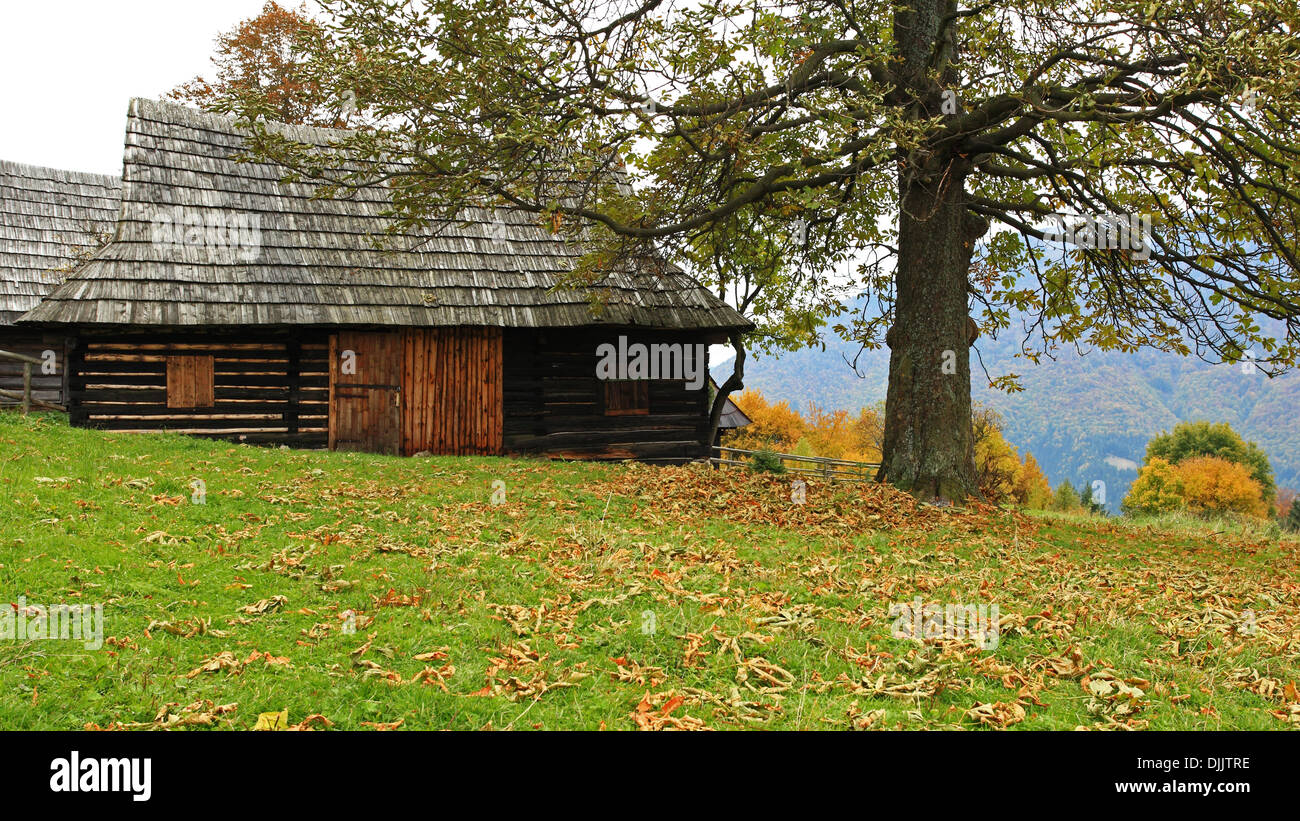 Alten Blockhäuser in der ländlichen Siedlung Podsip, NP Velka Fatra, Slowakei. Stockfoto