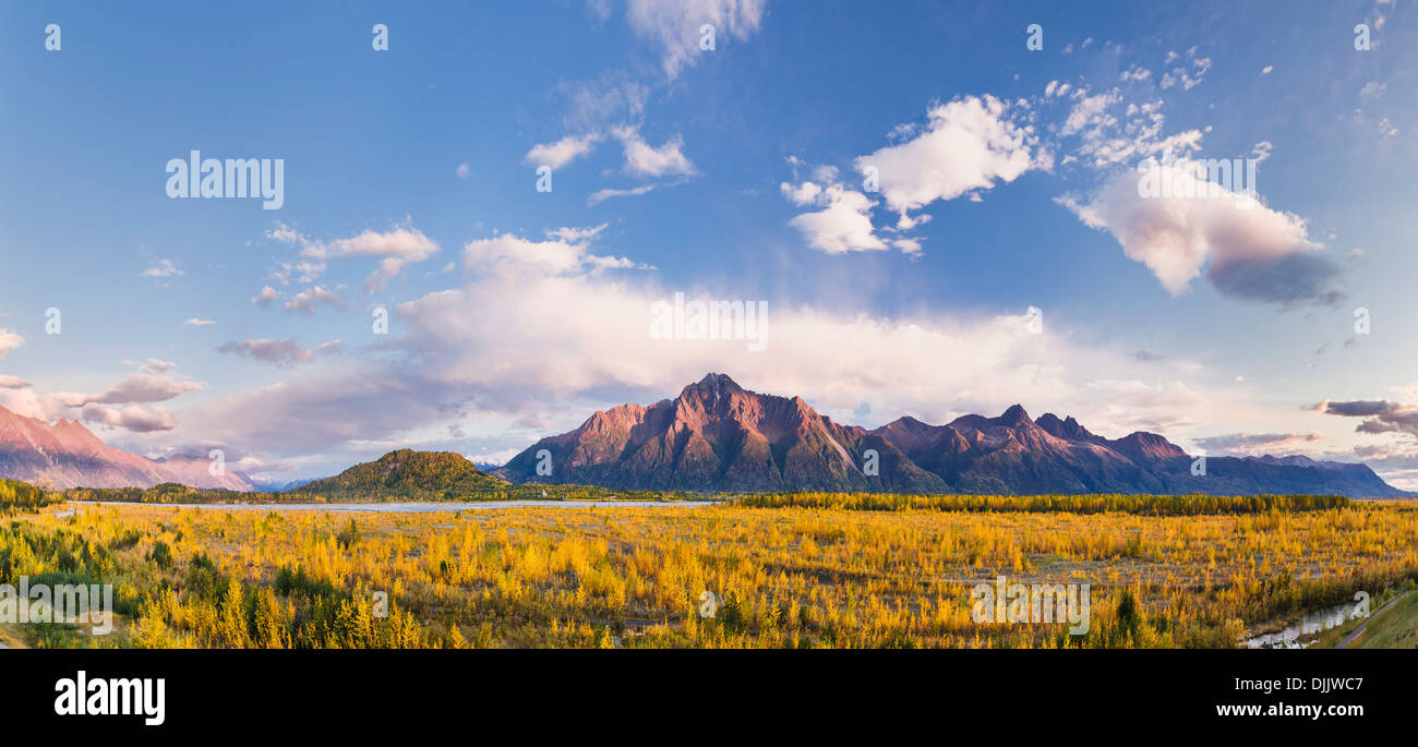 Füllen Sie das Panorama Matanuska River Valley, Birken und Pappeln. Hintergrund; Pioneer Peak und die Chugach Mountains. Alaska Stockfoto