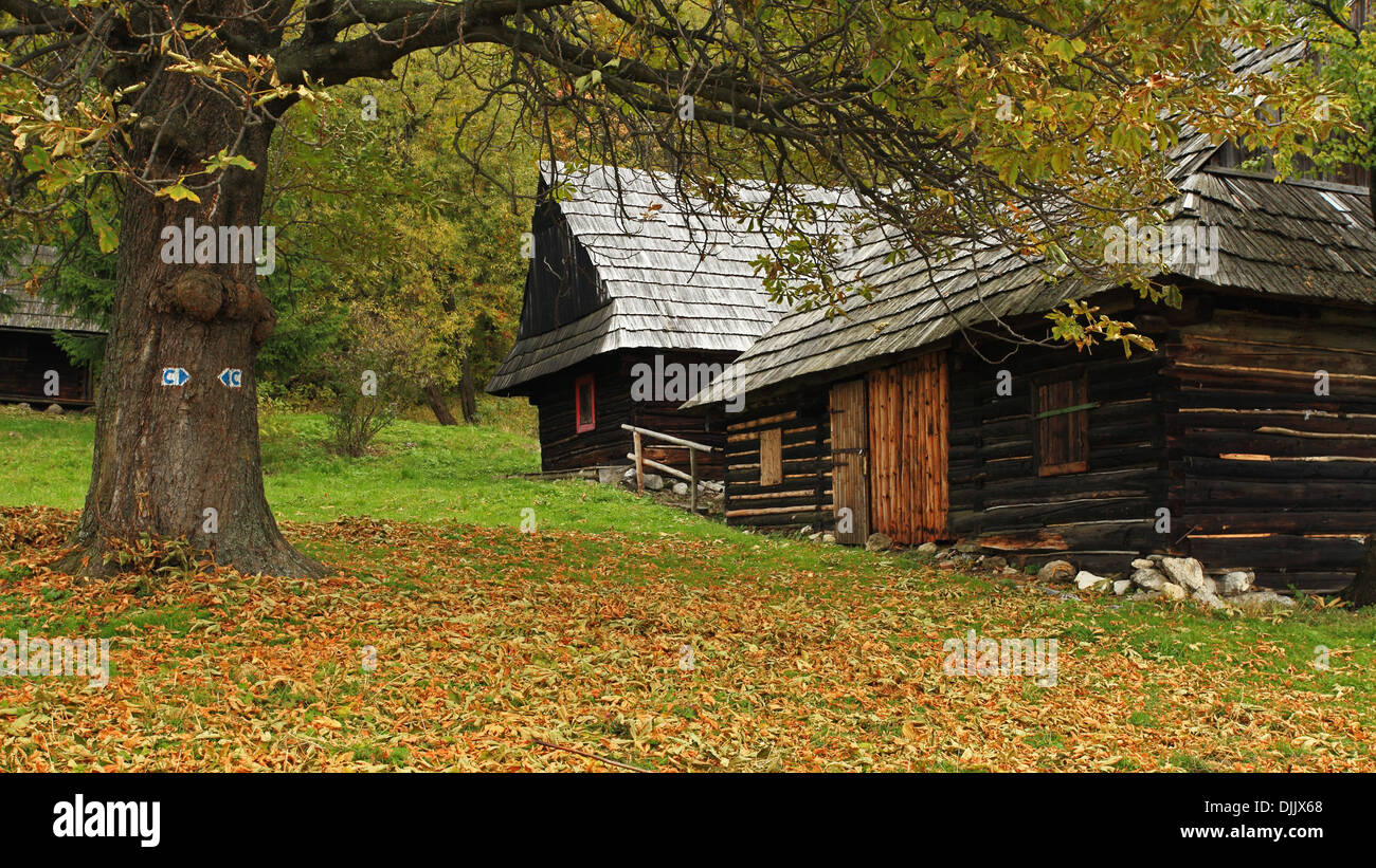 Alten Blockhäuser in der ländlichen Siedlung Podsip, NP Velka Fatra, Slowakei. Stockfoto