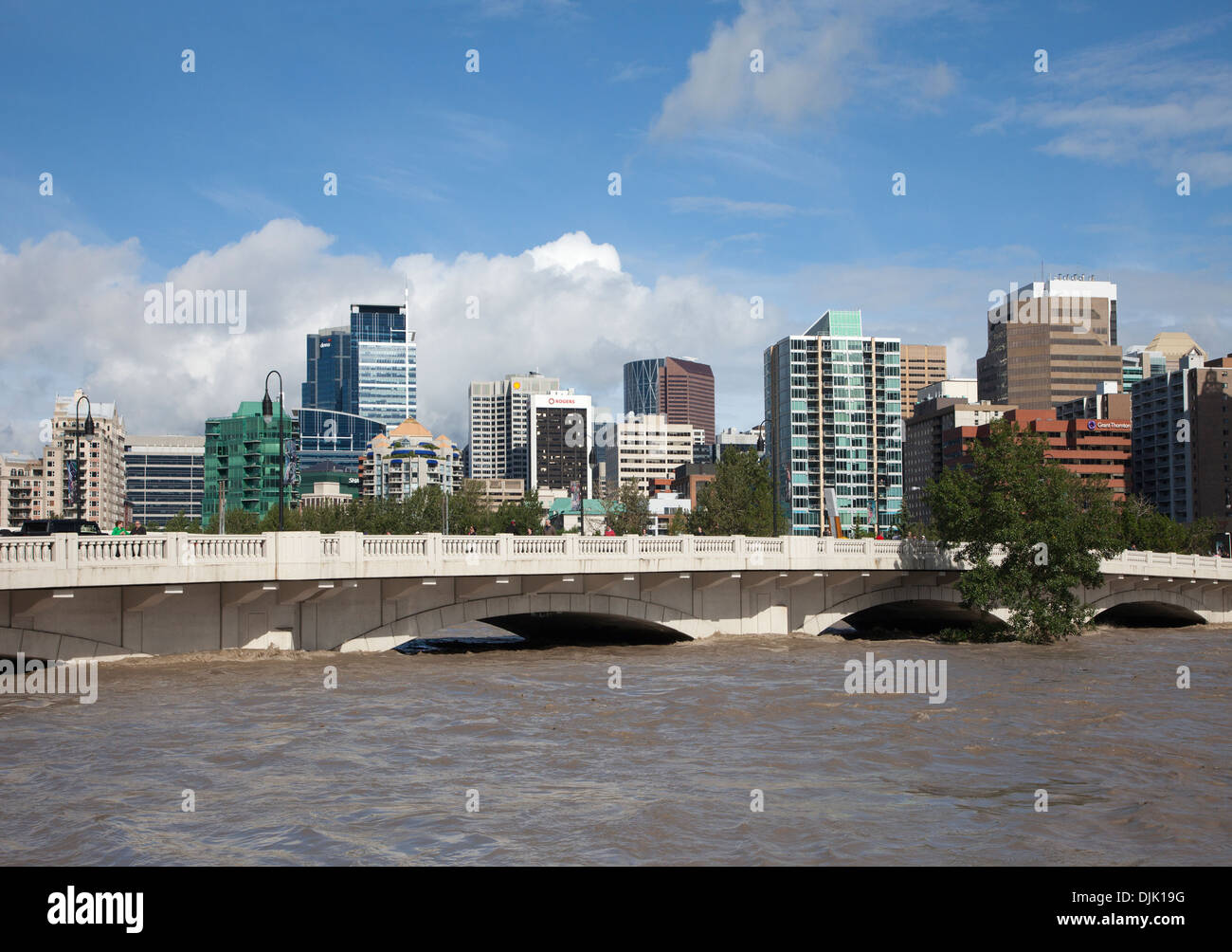 Der Wasserstand des Bow River erreicht den Grund der Louise Bridge während der extremen Überschwemmungen im Jahr 2013, die durch starke Regenfälle verursacht wurden Stockfoto