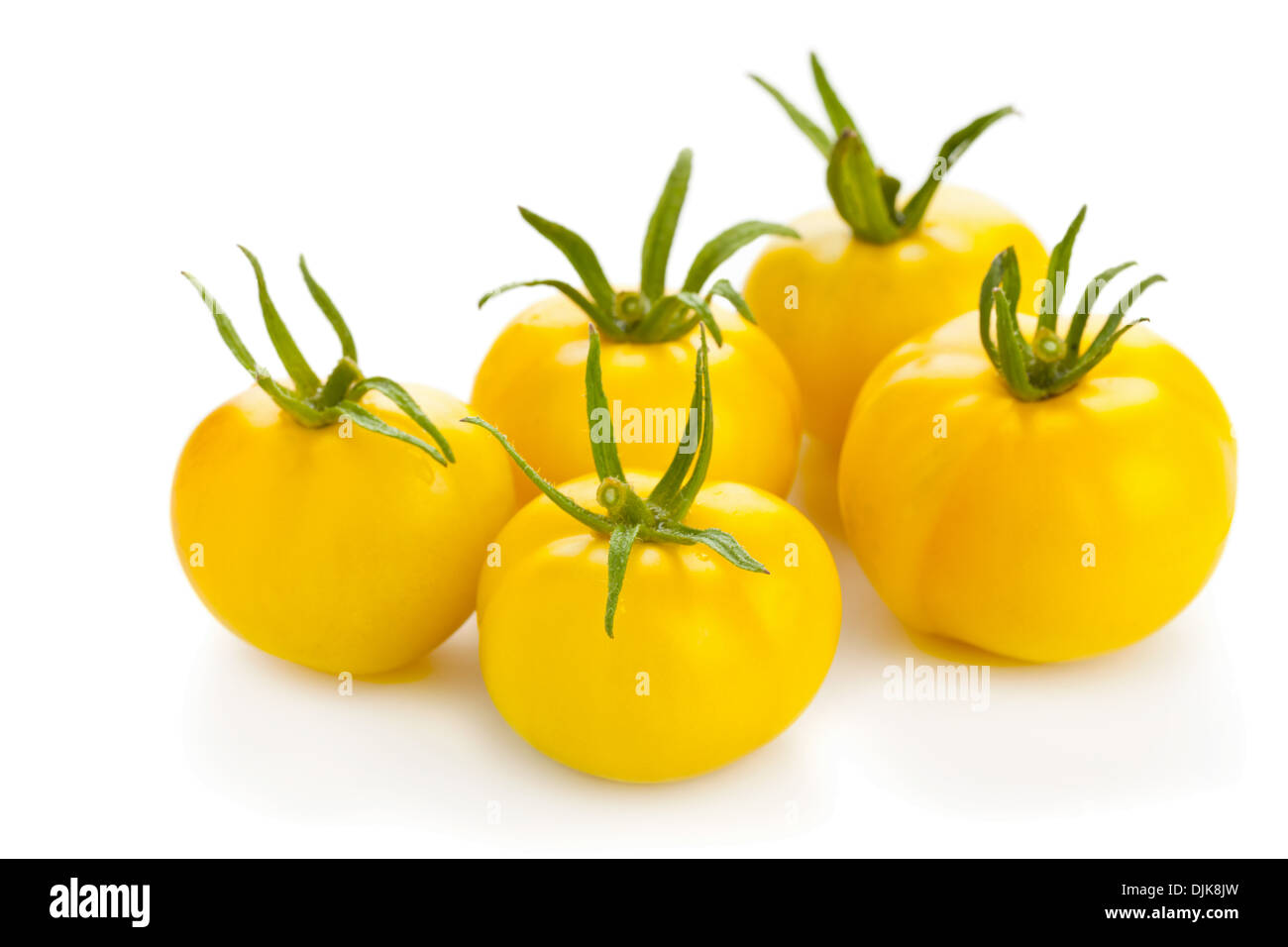Frisch geerntete gelbe Tomaten auf weißem Hintergrund Stockfoto
