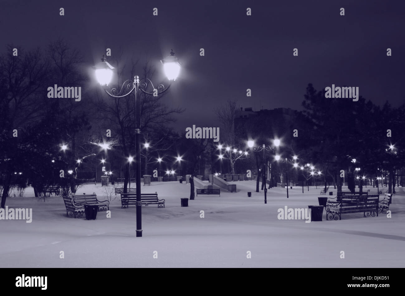 Park in Nikolaev Winter nachts Stockfoto