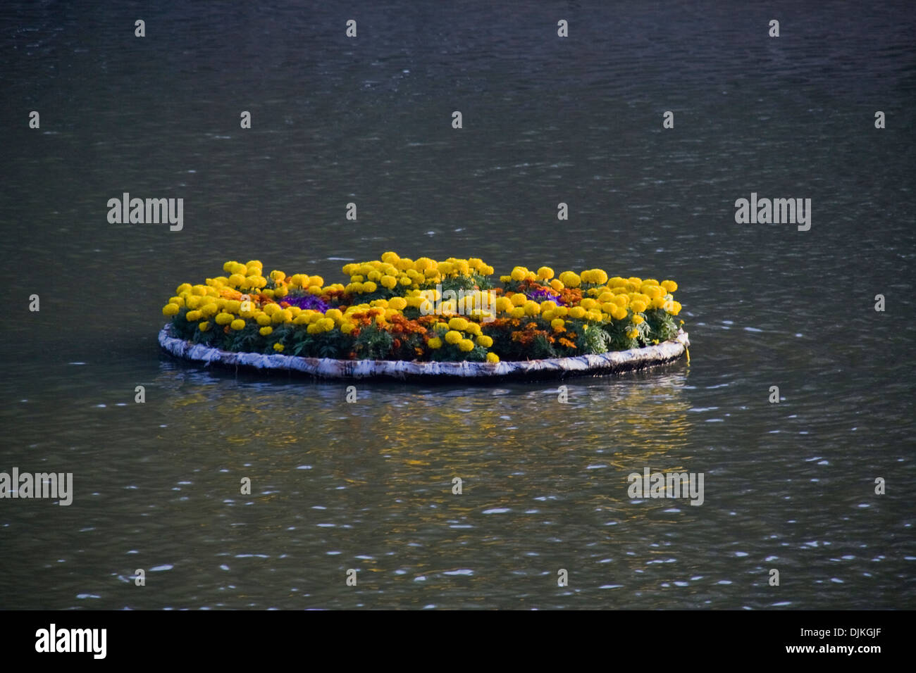 Tablett mit gelb, dekorative Blumen auf dem Seewasser schwimmt Stockfoto