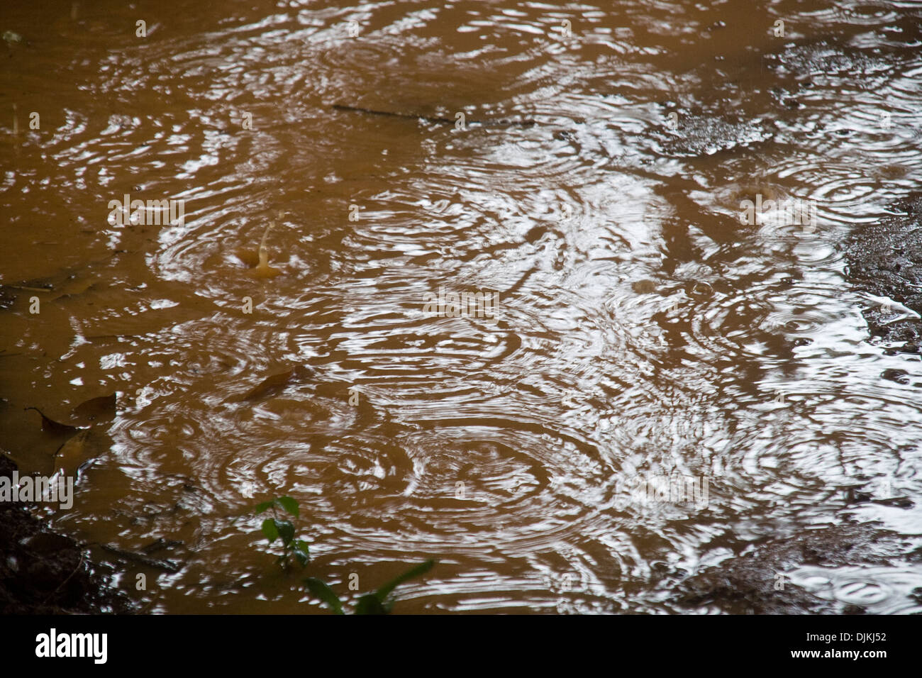 Muster, abstrakte Welligkeit durch Tropfen Regenwasser Stockfoto