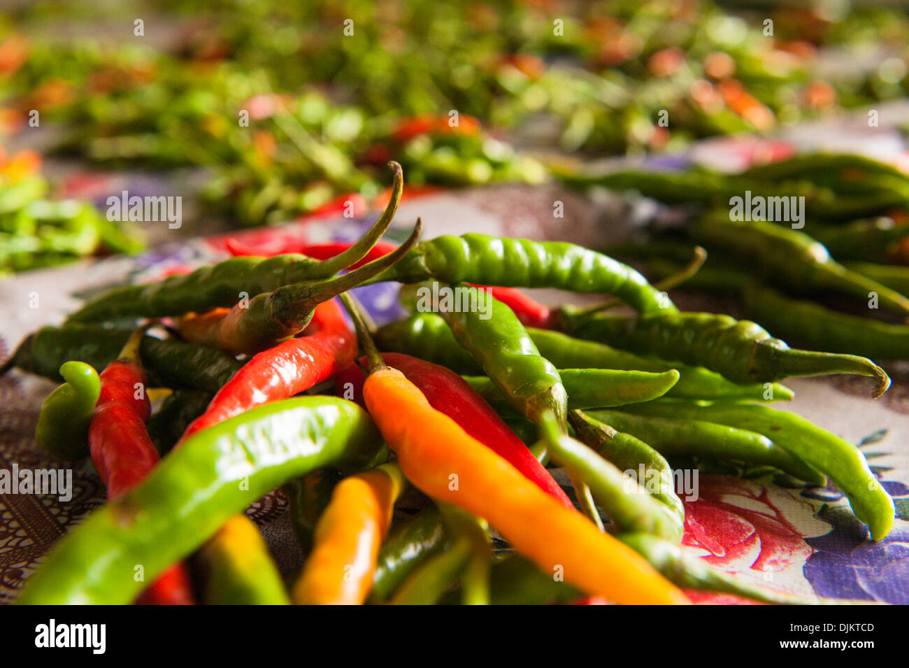 Nahaufnahme von Haufen von Chilis in Suva Stadtmarkt, einem großen Obst- und Gemüsemarkt in der Hauptstadt. Suva, Fidschi. Stockfoto