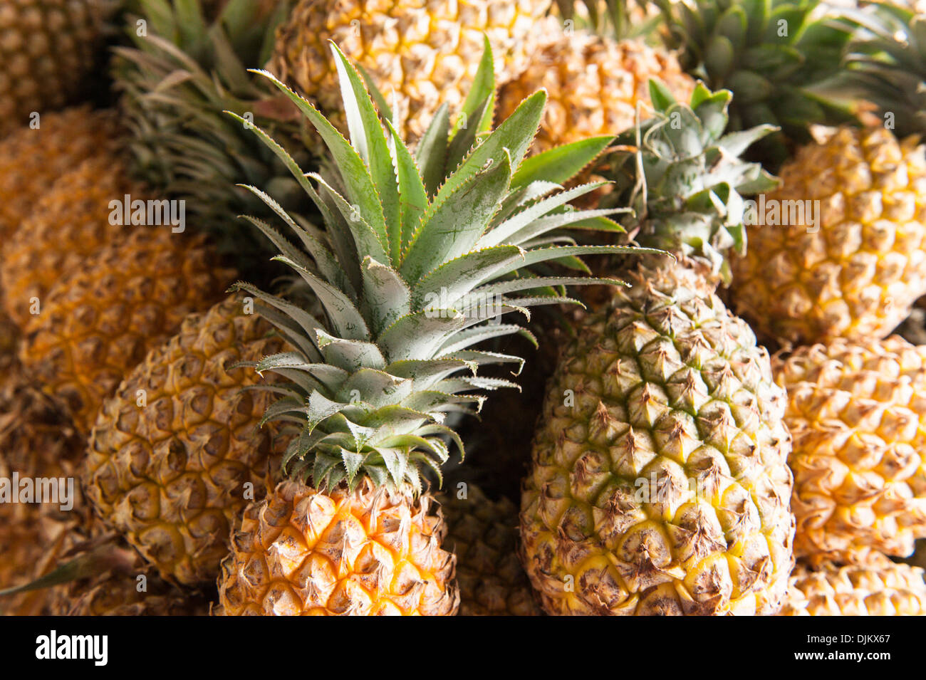 Haufen von Ananas, einige der Obst und Gemüse in der Suva Stadtmarkt, Suva, Fiji hautnah