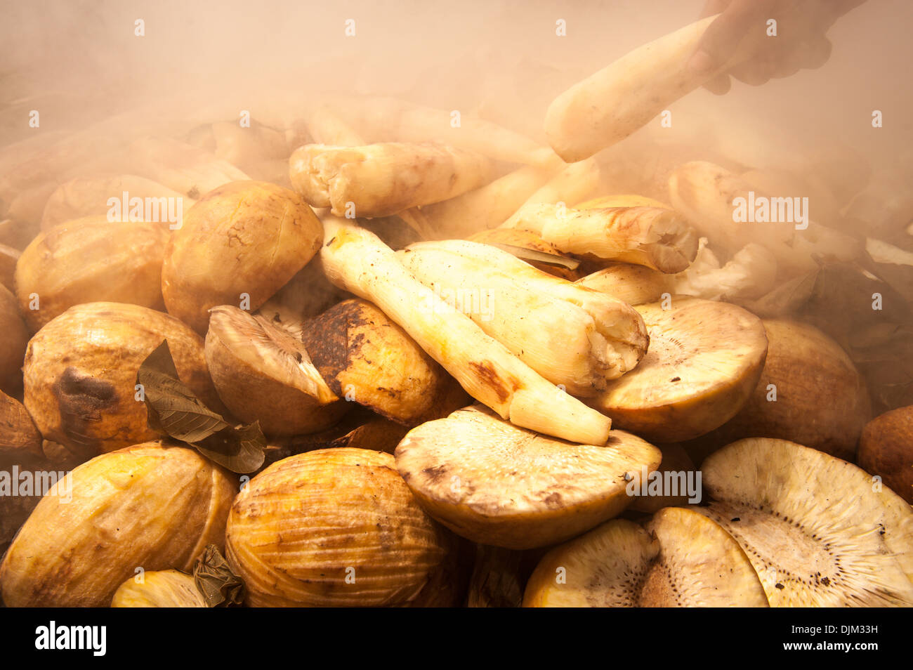 Nahaufnahme des Mannes Hand entfernen gekochten Speisen aus einem großen Lovo (Erde Backofen) für ein fest.  Namuka-i-Lau, Fidschi Stockfoto