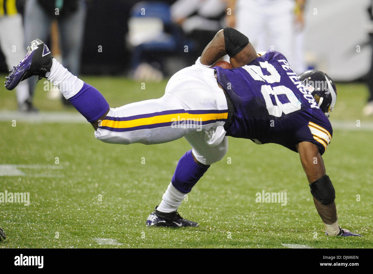 19. September 2010 - Minneapolis, Minnesota, Vereinigte Staaten von Amerika - Minnesota Vikings Runningback Adrian Peterson #28 stolpert und erholt sich während der Spielaktion gegen die Miami Dolphins. Die Delphine besiegte die Wikinger 14-10 im Mall of America Field. (Kredit-Bild: © Marilyn Indahl/Southcreek Global/ZUMApress.com) Stockfoto