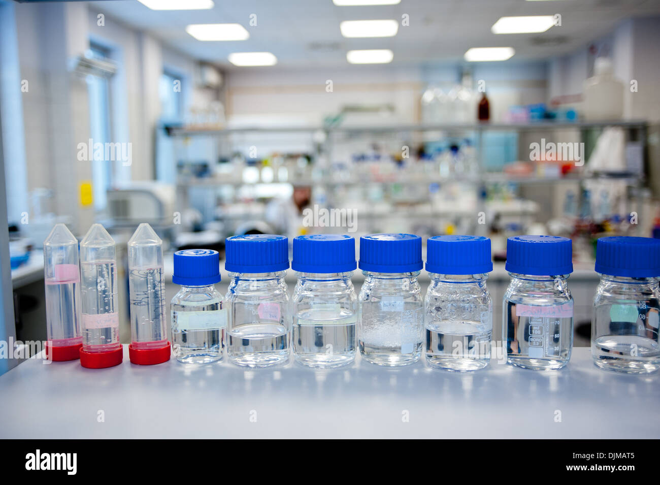 Chemikalien Reagenzien hintereinander in Glasflaschen an Labor Regal platziert. Im Hintergrund unscharf Chemielabor. Stockfoto