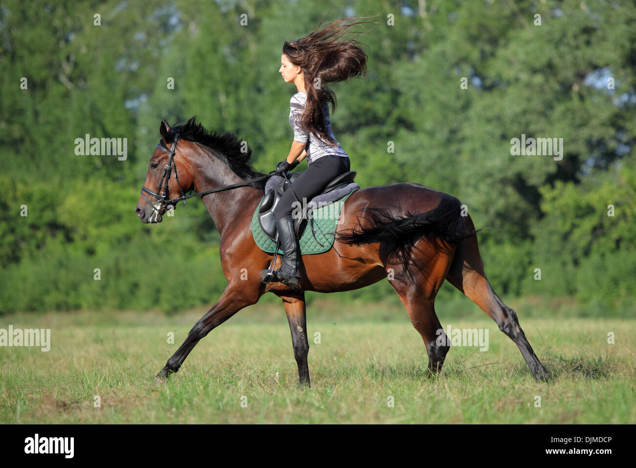 Fröhliche junge Frau und ihr galoppierenden Pferd Stockfoto