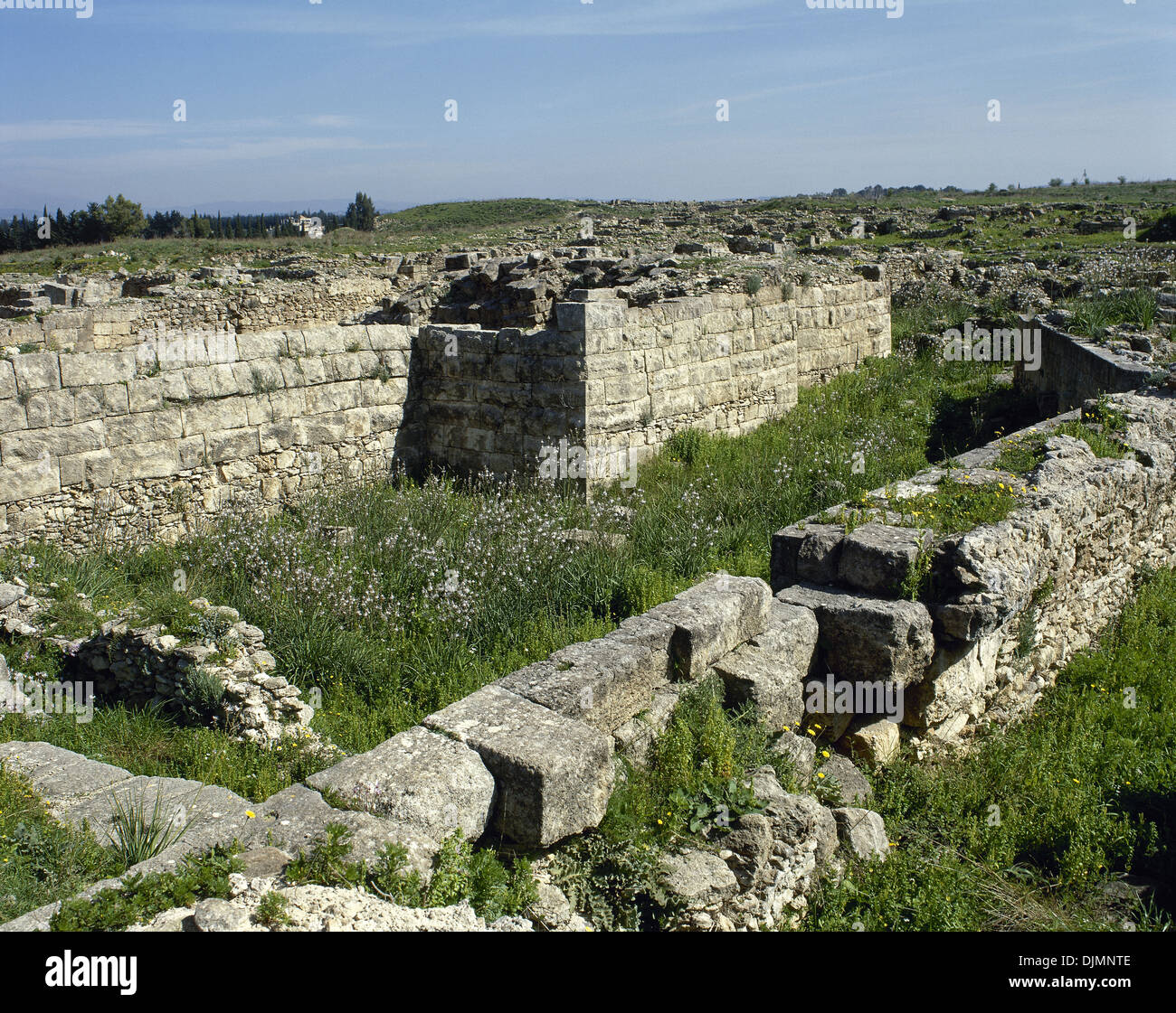 Syrien. Ugarit. Antike Hafenstadt an der Ras Shamra. Neolithische späten Bronzezeit. Die Ruinen. Stockfoto