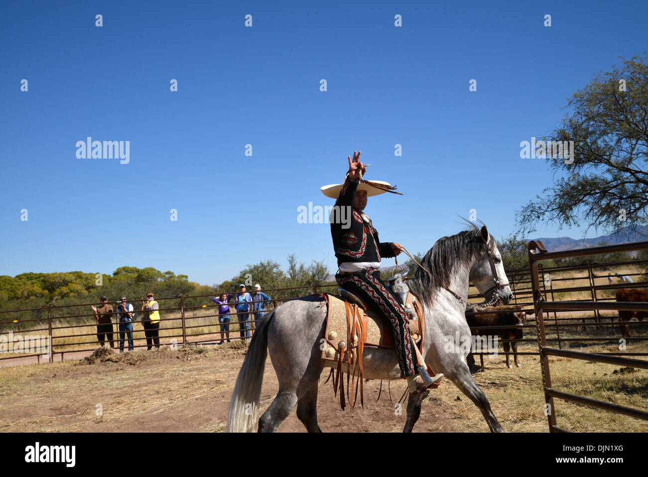 Der Roundup & Open House, eine Feier des Cowboys auf der Ranch Reich, Sonoita, Arizona, USA. Stockfoto