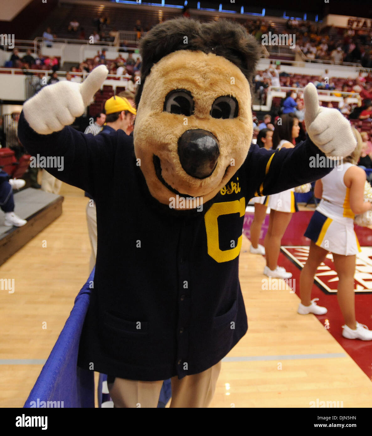 California Golden Bears-Maskottchen Oski auftaucht die Daumen wie Cal San Diego Toreros in der 1. Hälfte der ersten spielt Runde der 2008 NCAA Frauen-Basketball-Meisterschaft auf Samstag, 22. März 2008 im Ahorn-Pavillon in Palo Alto, Kalifornien (Jose Carlos Fajardo/Contra Costa Times / ZUMA Press). Stockfoto