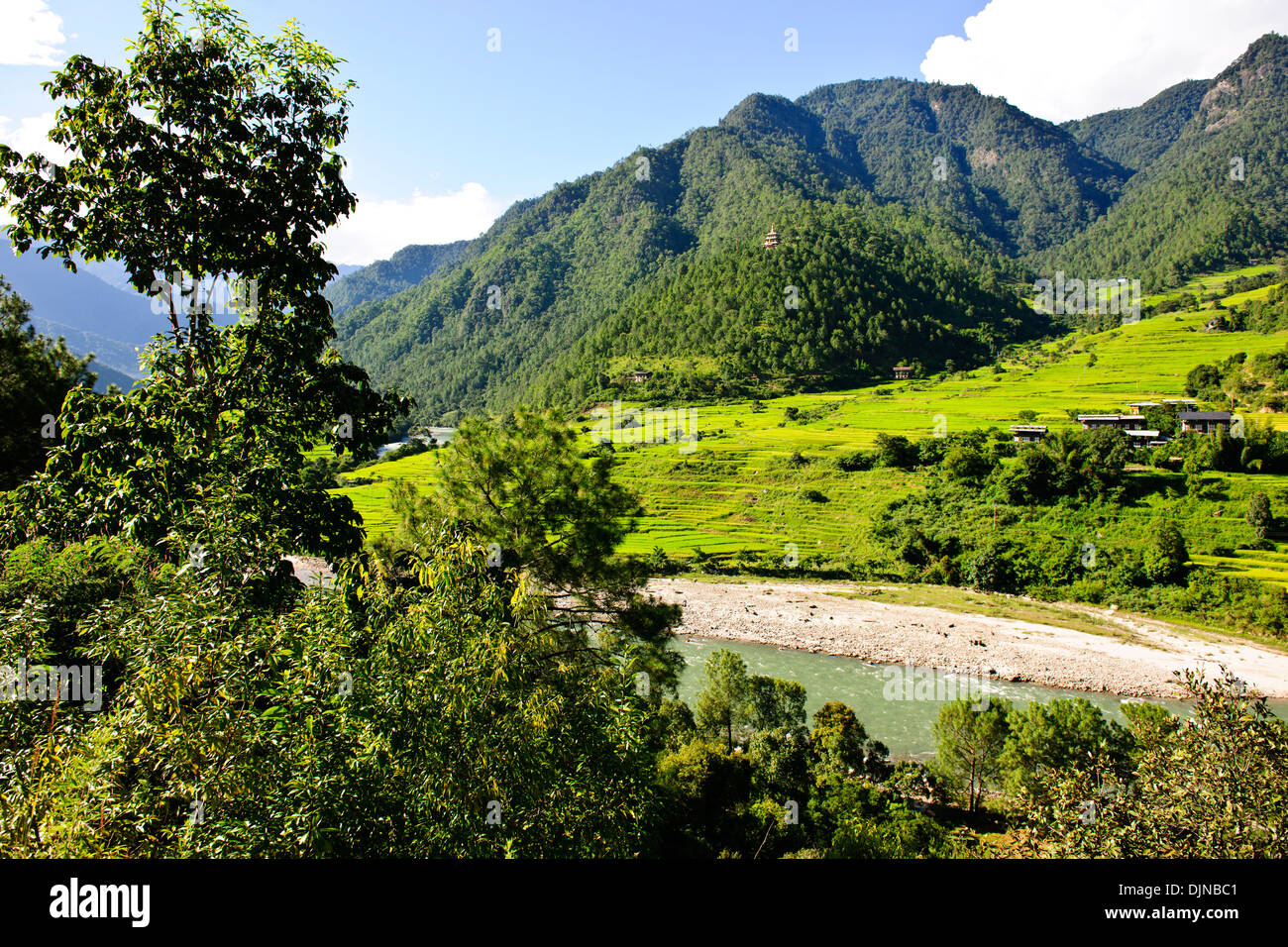 Punakha Dzong, den Kopf des Klerus von Bhutan mit seinem Gefolge der buddhistischen Mönche verbringen den Winter in dieser Dzong, Umgebung Stockfoto