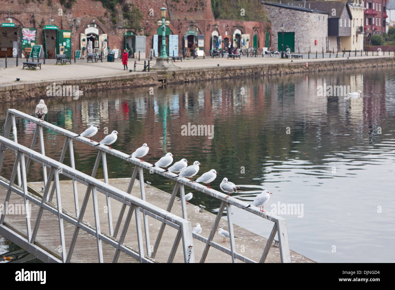 Kai in den historischen Docks in Exeter, Devon, England Stockfoto
