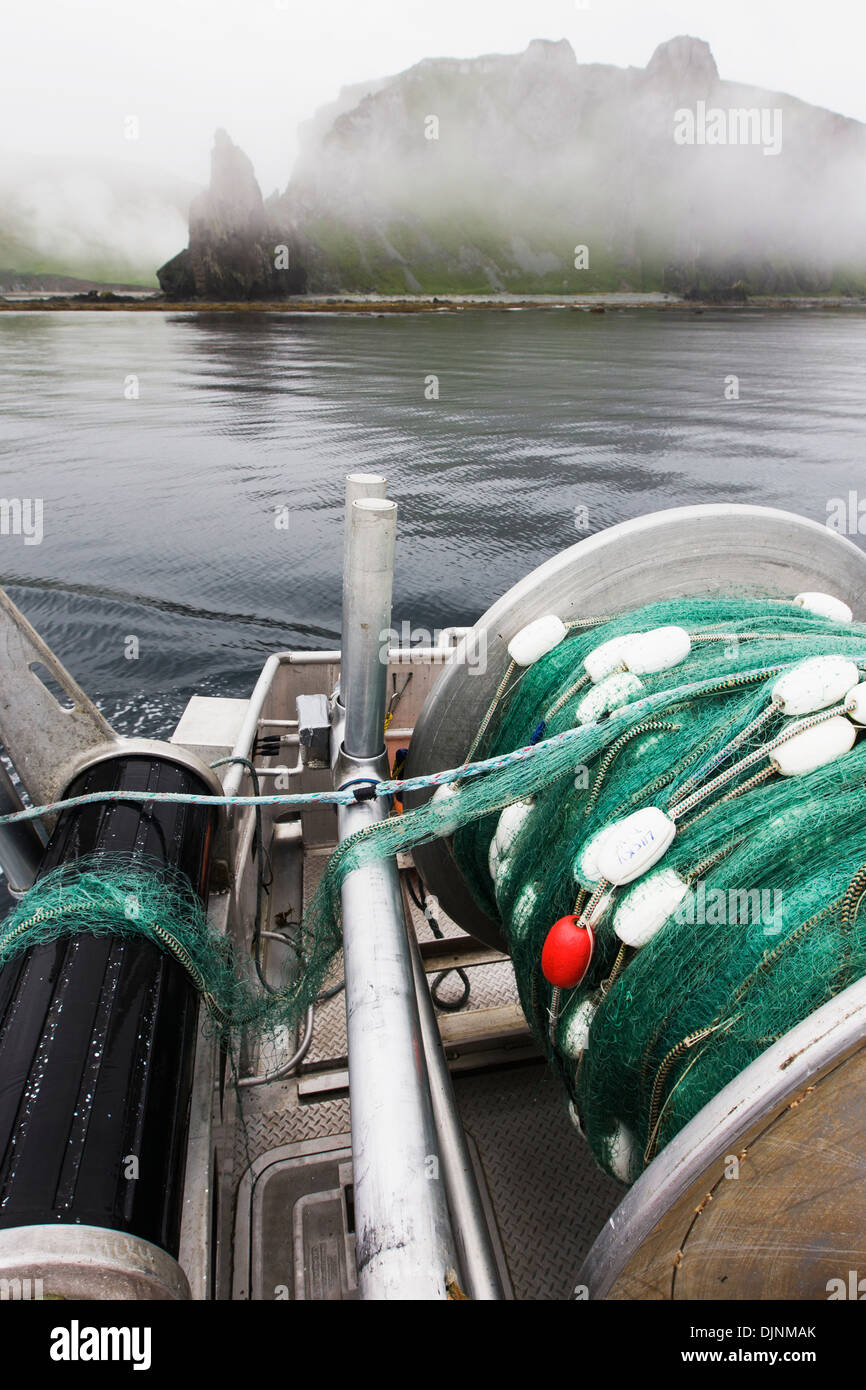 Lachs Angeln in der Nähe von Cape Pankof auf Unimak Island "Alaska-Halbinsel Area". Dies ist eine umstrittene Fischereigebiet gewesen. Stockfoto