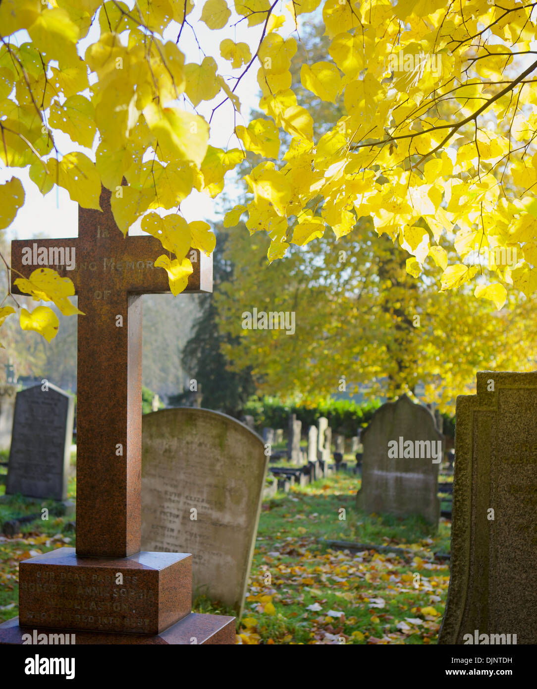 Grab von Steinen an sonnigen Herbsttag in der City von London Friedhof, London, UK. Stockfoto
