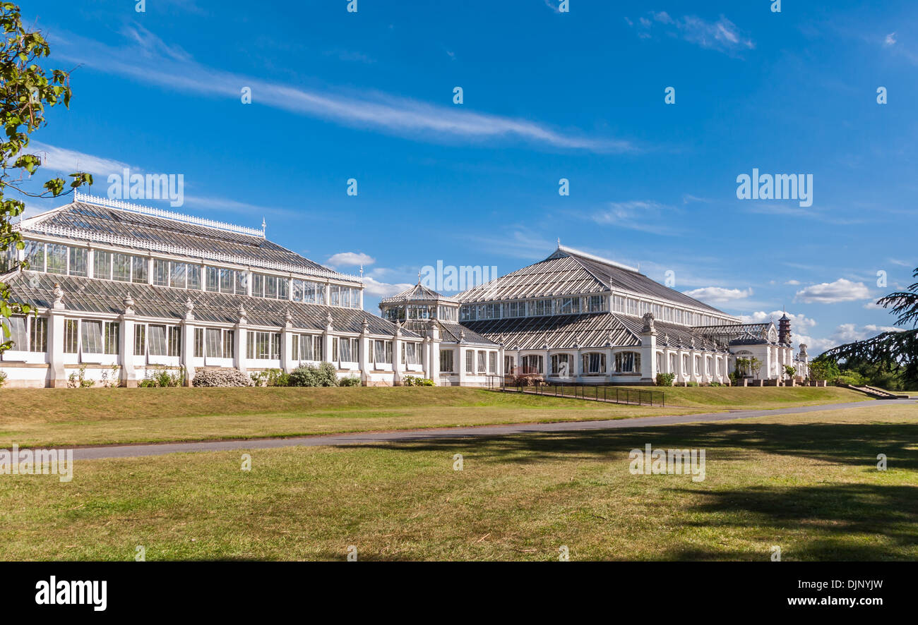 Gemäßigten House in Kew Royal Botanic Gardens, London, England Stockfoto