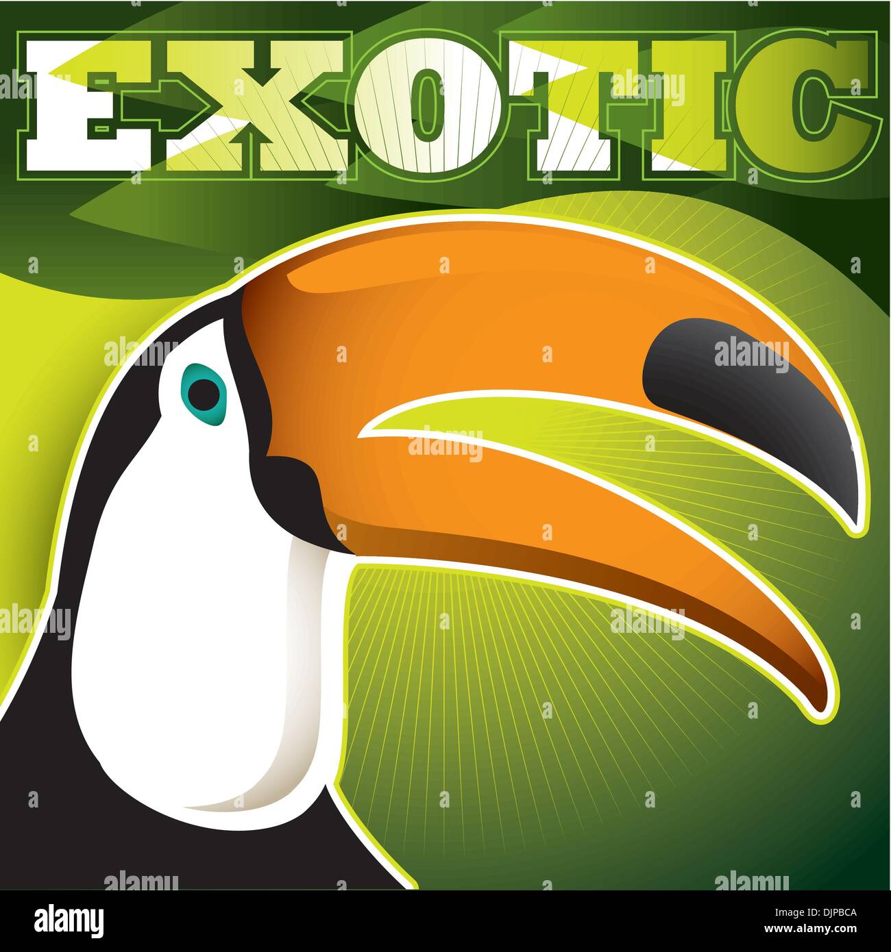 Entworfen von exotischen Banner mit toucan Stock Vektor