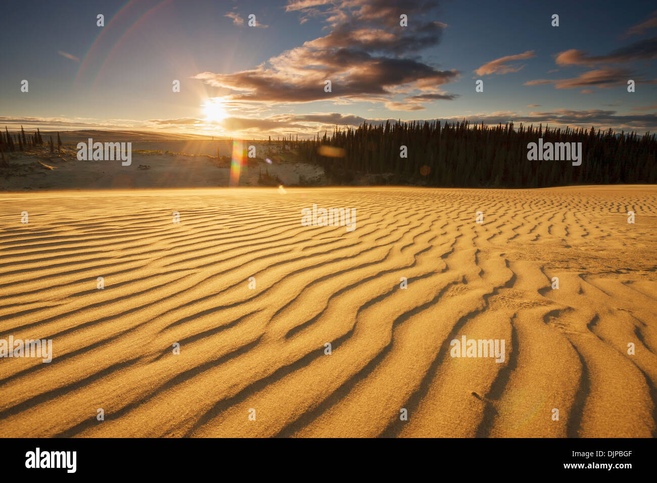 Vom Wind verwehten Sanddünen mit Schatten unter Mitternacht arktischen Sonne, Great Kobuk Sand Dunes, Kobuk Valley National Park Stockfoto