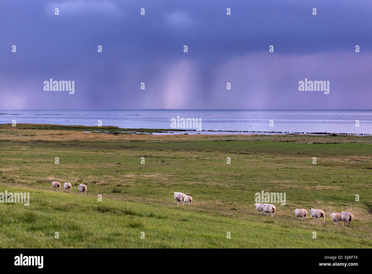 Nordsee mit Gewitterstimmung, Dänemark, Europa Stockfoto