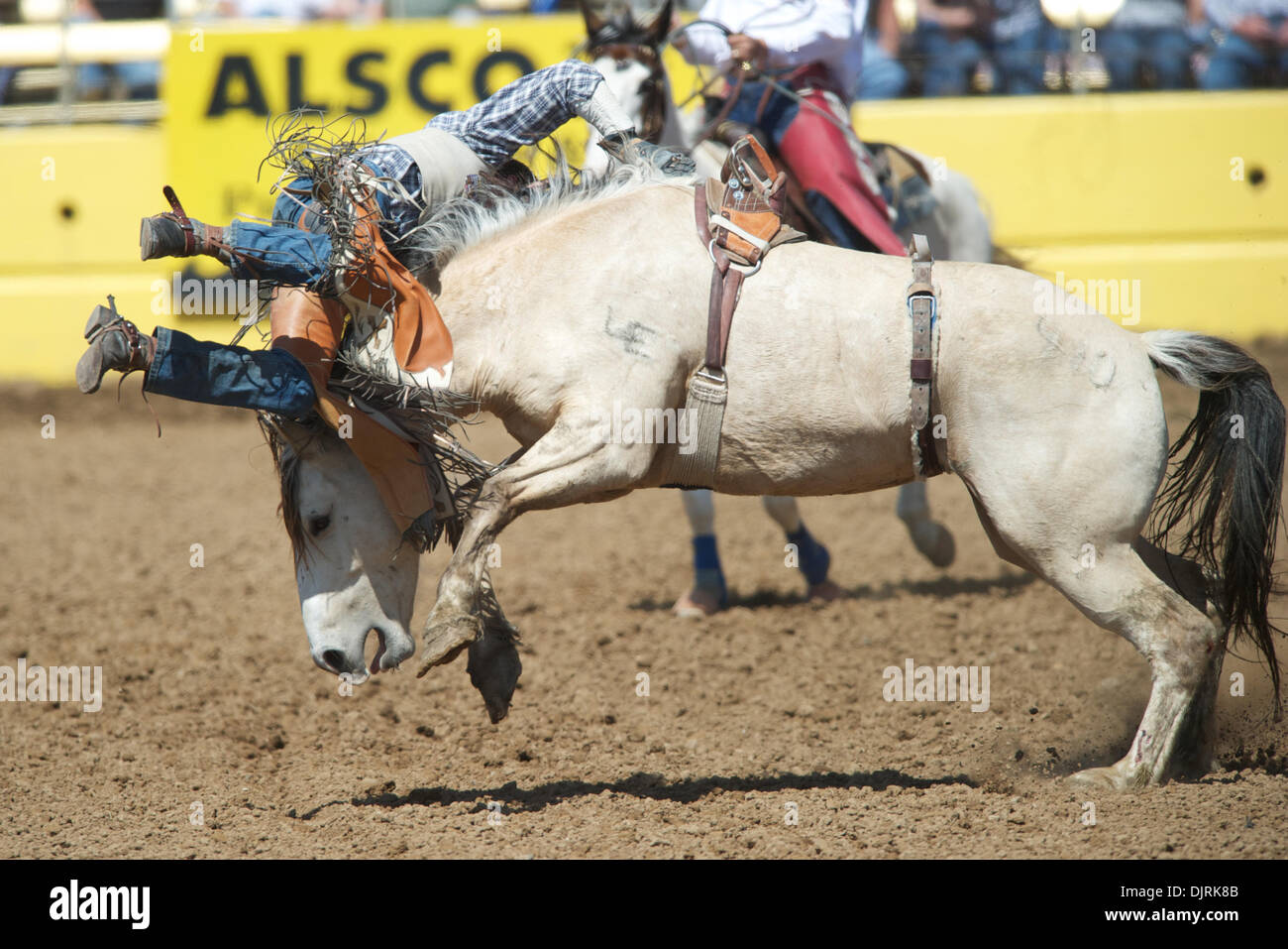 17. April 2010 - Red Bluff, Kalifornien, USA - 17. April 2010: Bareback Reiter Nathan Bayes von Adrian, oder bei der 2010 Red Bluff Round-Up an der Tehama County Fairgrounds in Red Bluff, CA. (Credit-Bild: © Matt Cohen/Southcreek Global/ZUMApress.com) Stockfoto