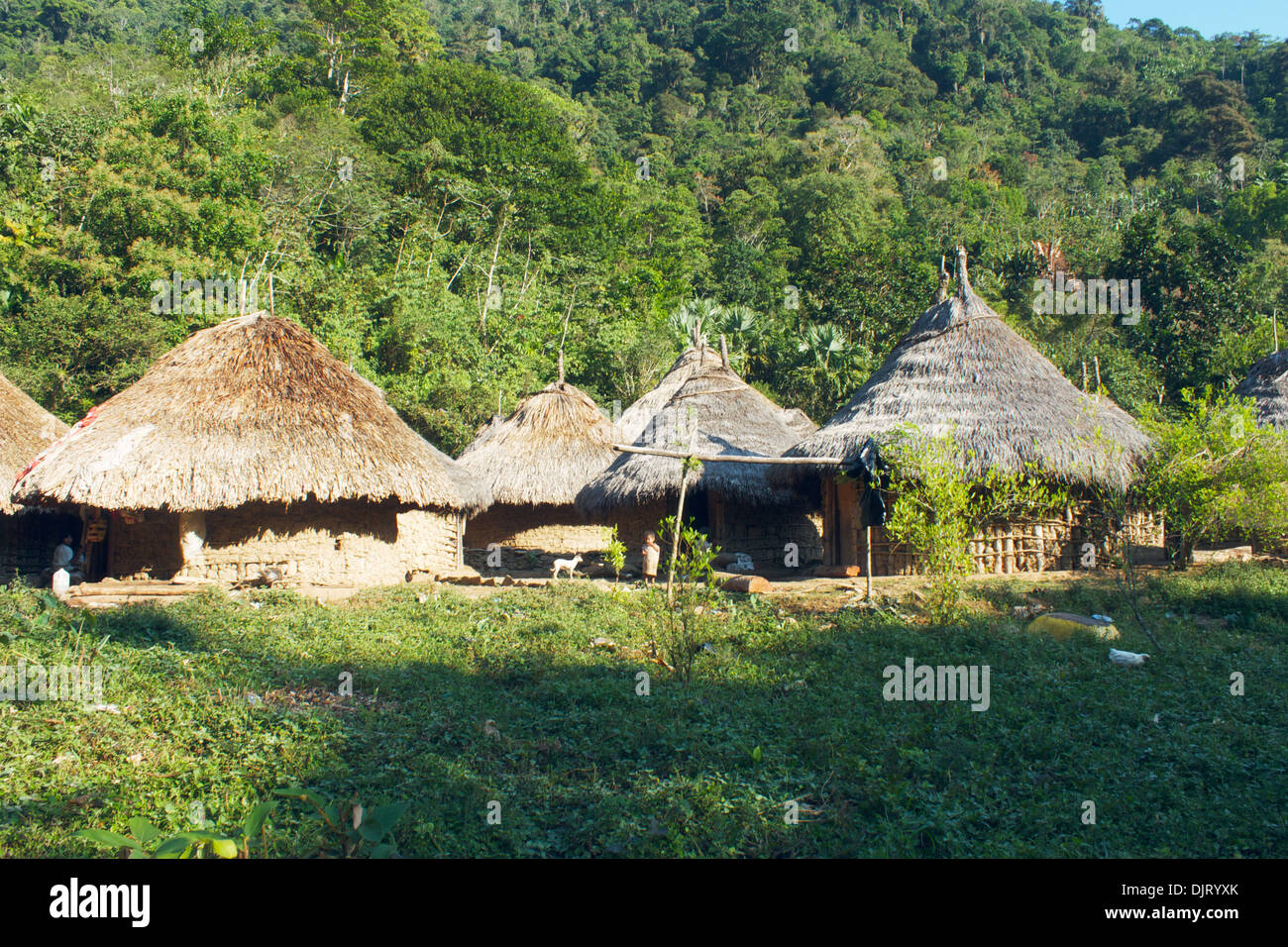 Urige Hütten der Kogi Menschen Stockfoto
