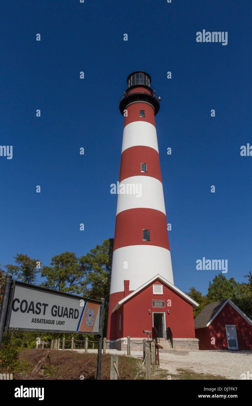 Assateague Lighthouse auf Assateague Island im Chincoteague National Wildlife Refuge in Virginia. Stockfoto
