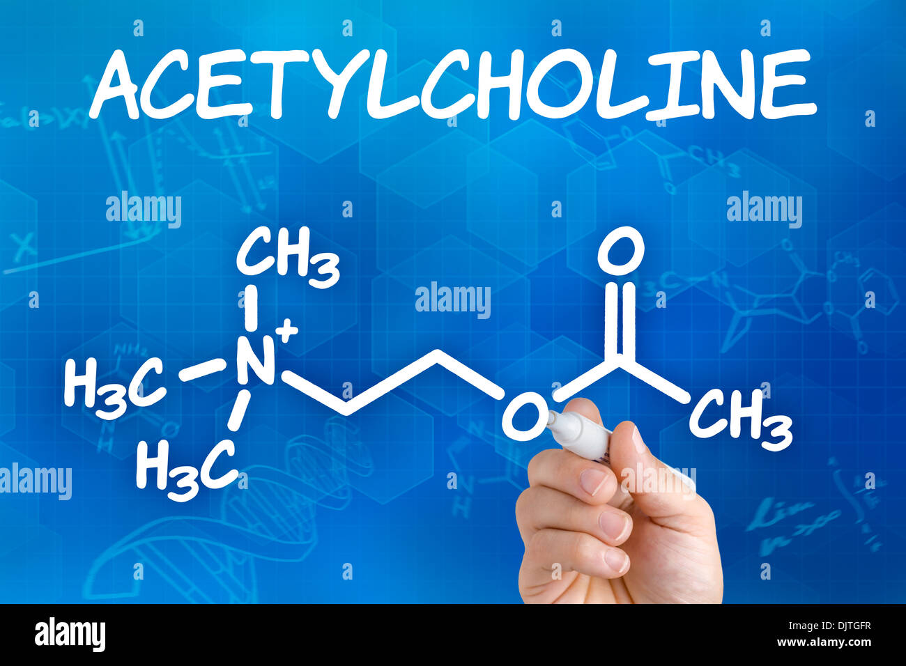 Hand mit Federzeichnung die chemische Formel von Acetylcholin Stockfoto