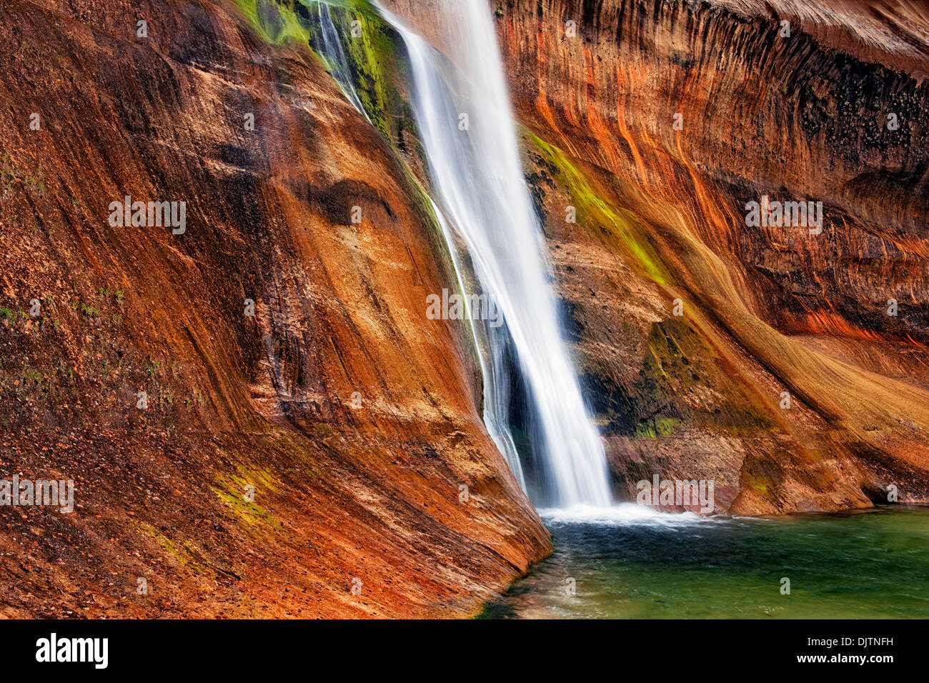 Lower Calf Creek Falls gießt über die brillante farbige Wände des Navajo Sandstein in Utahs Escalante National Mo erarbeitet. Stockfoto