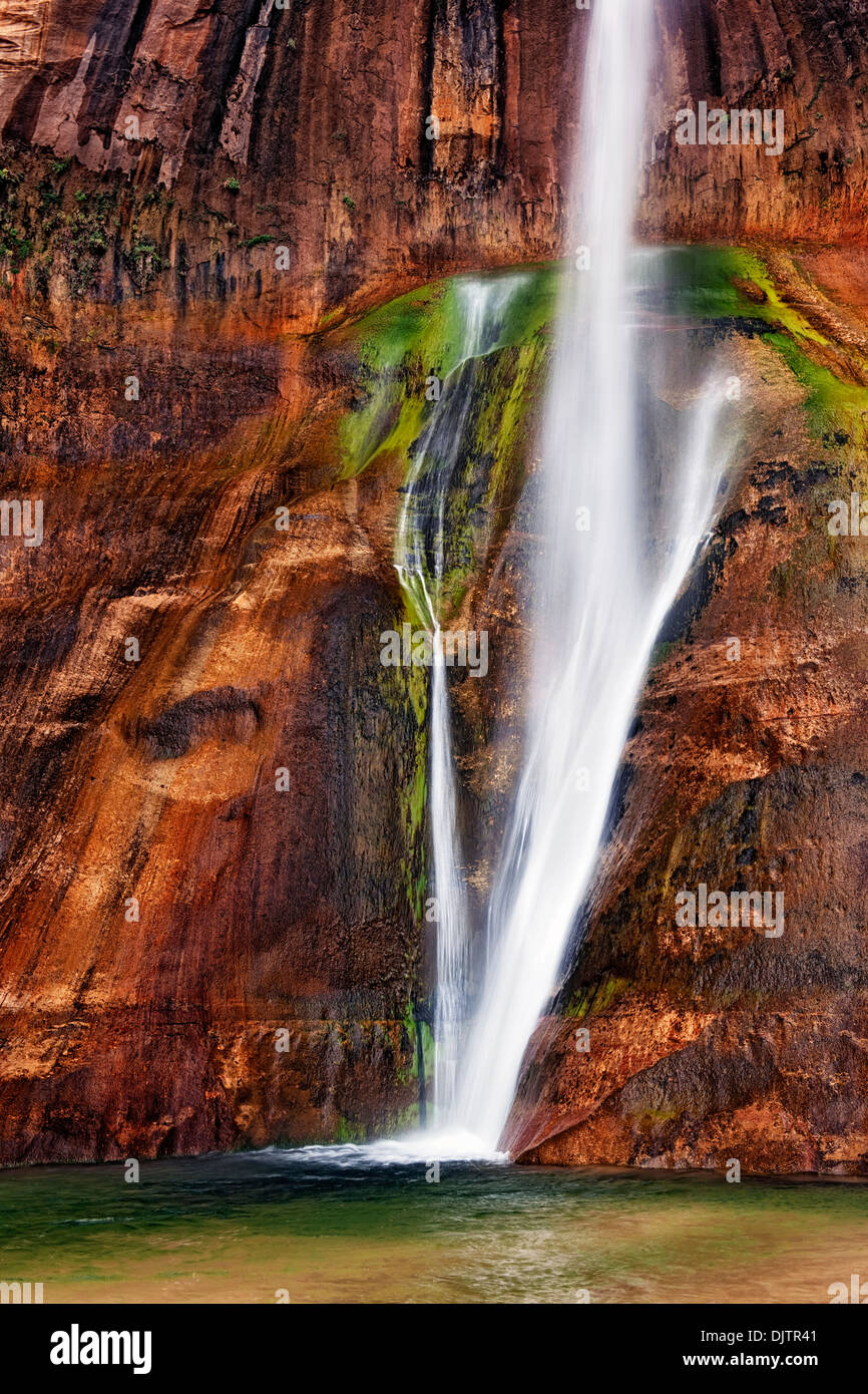 Lower Calf Creek Falls gießt über die brillante farbige Wände aus Navajo-Sandstein in Utahs Escalante National Monument. Stockfoto